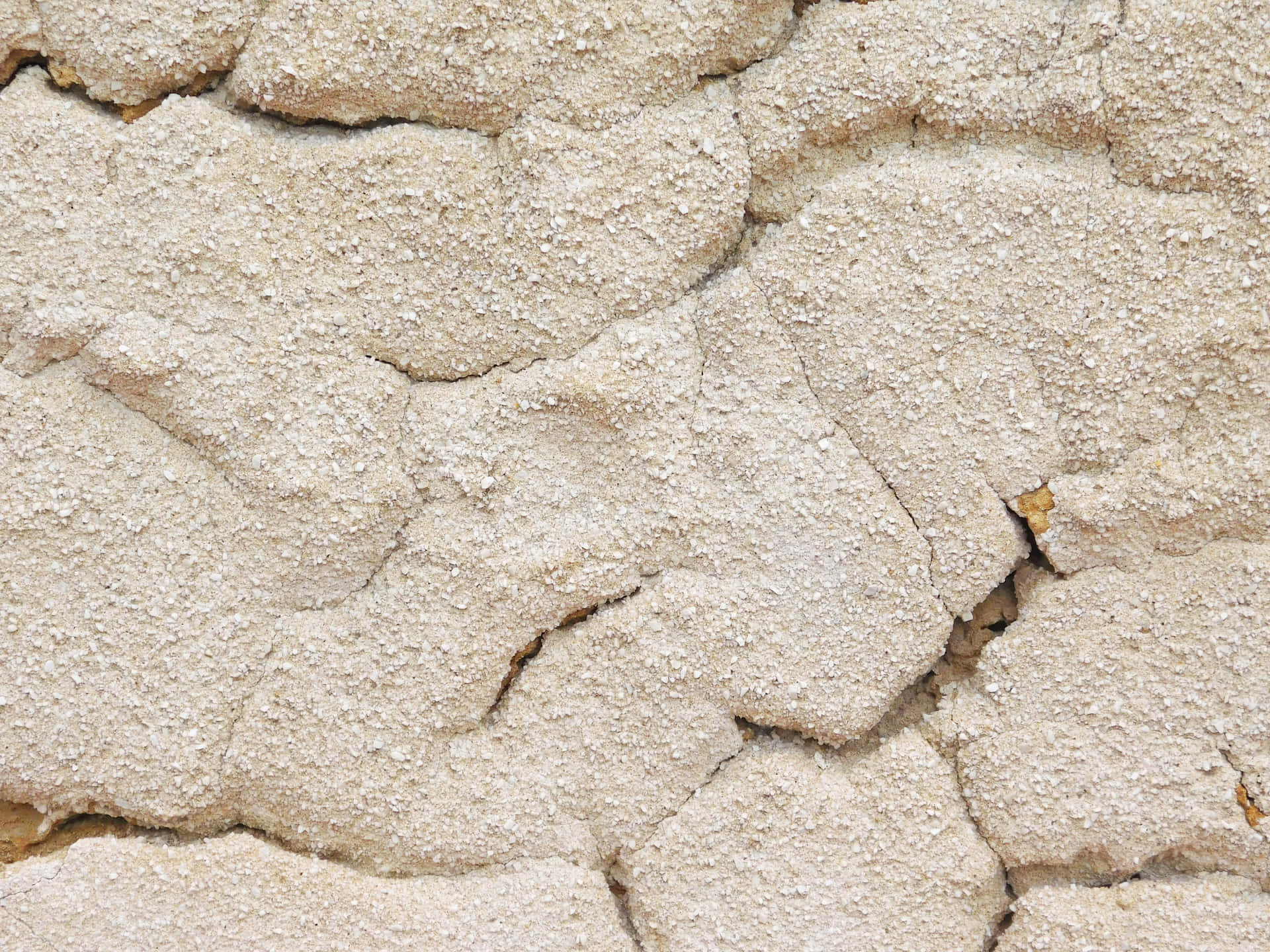Stone texture 壁紙 — 乾裂泥土的特寫，粗糙紋理的米色和白色表面顯示自然裂縫。