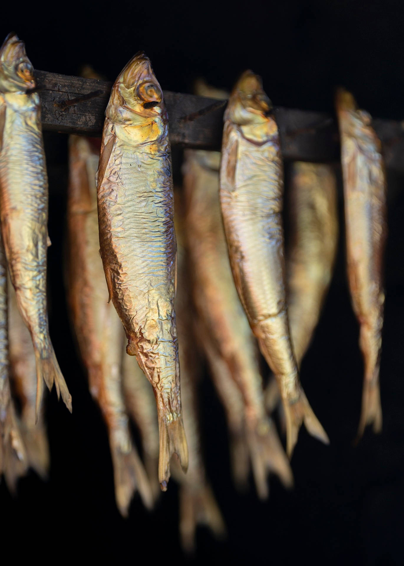 魚 桌布 壁紙 — 乾魚掛在木架上排成一排，背景深色，展示其紋理鱗片和金棕色色調。