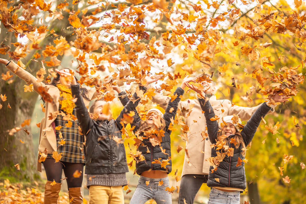 Fall Family 桌布 壁紙 — 五位快樂的朋友在陽光明媚的秋日公園裡將金色楓葉拋向空中。