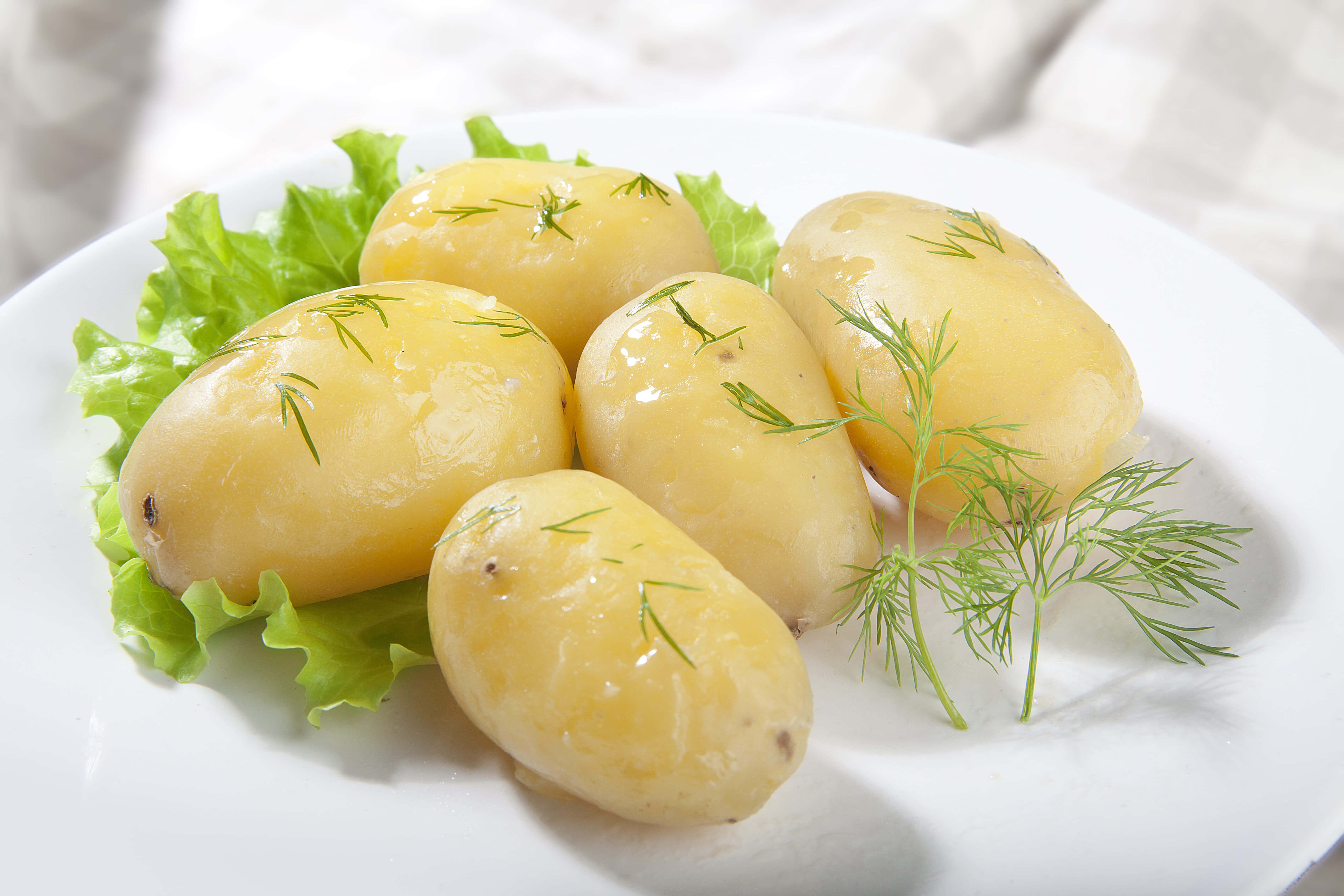 Potato 桌布 壁紙 — 五個光滑的水煮馬鈴薯，飾以新鮮蒔蘿和生菜葉，放在白色盤子上。