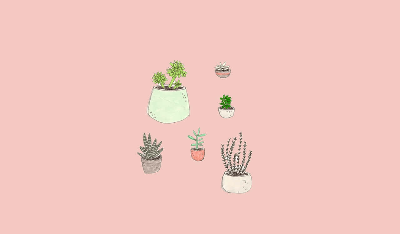 Kawaii Pink Aesthetic Desktop 桌布 壁紙 — 五個手繪的盆栽多肉植物，放在柔和粉紅色背景上，花盆是粉彩色的。
