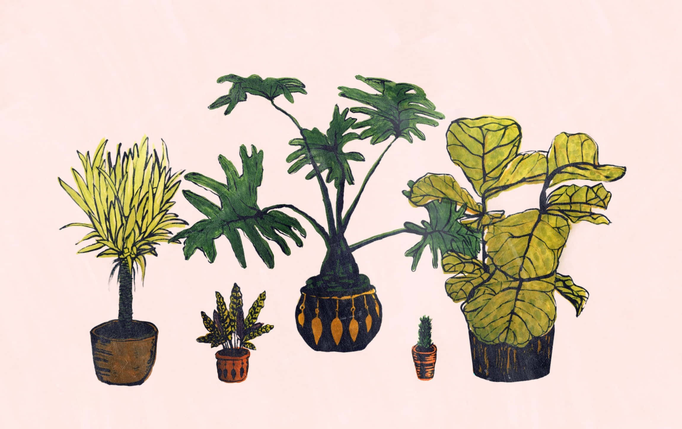 Plant Aesthetic 桌布 壁紙 — 五個插圖盆栽植物，葉形各異，陶土花盆，排列在柔和的粉紅色背景上。