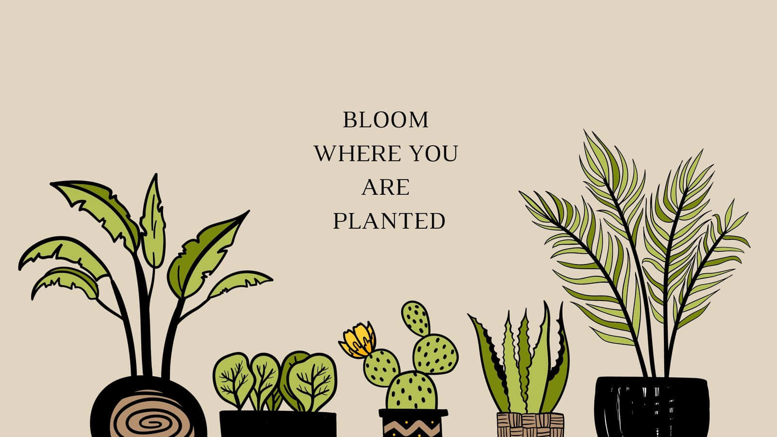 Plant 桌布 壁紙 — 五個插圖盆栽植物，黑色花盆，大膽的綠色葉子和仙人掌花，米色背景，帶有勵志文字。