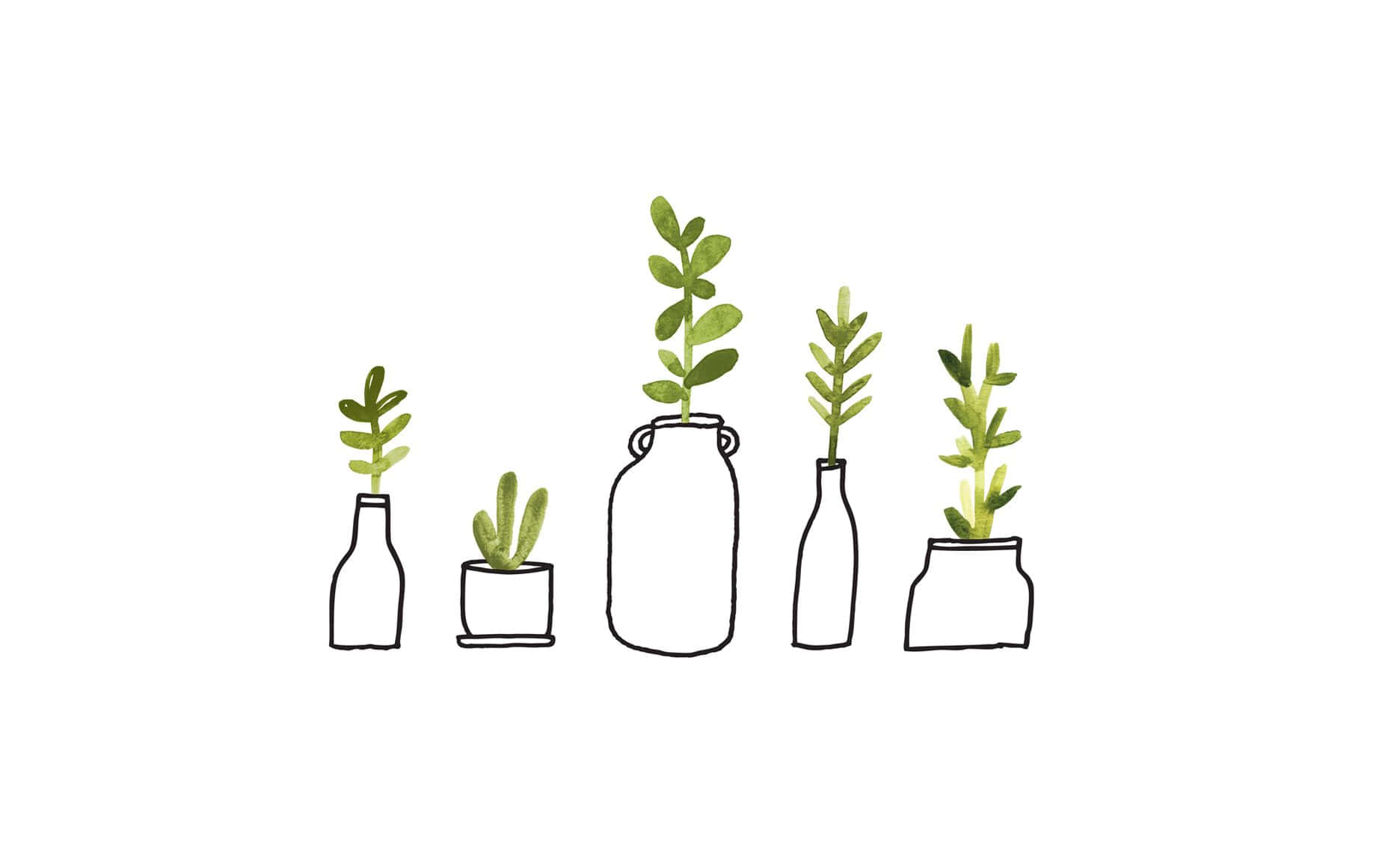 artwork 桌布 壁紙 — 五個極簡線條畫植物，放在各種罐子和瓶子中，帶有綠色葉子，背景為純白色。