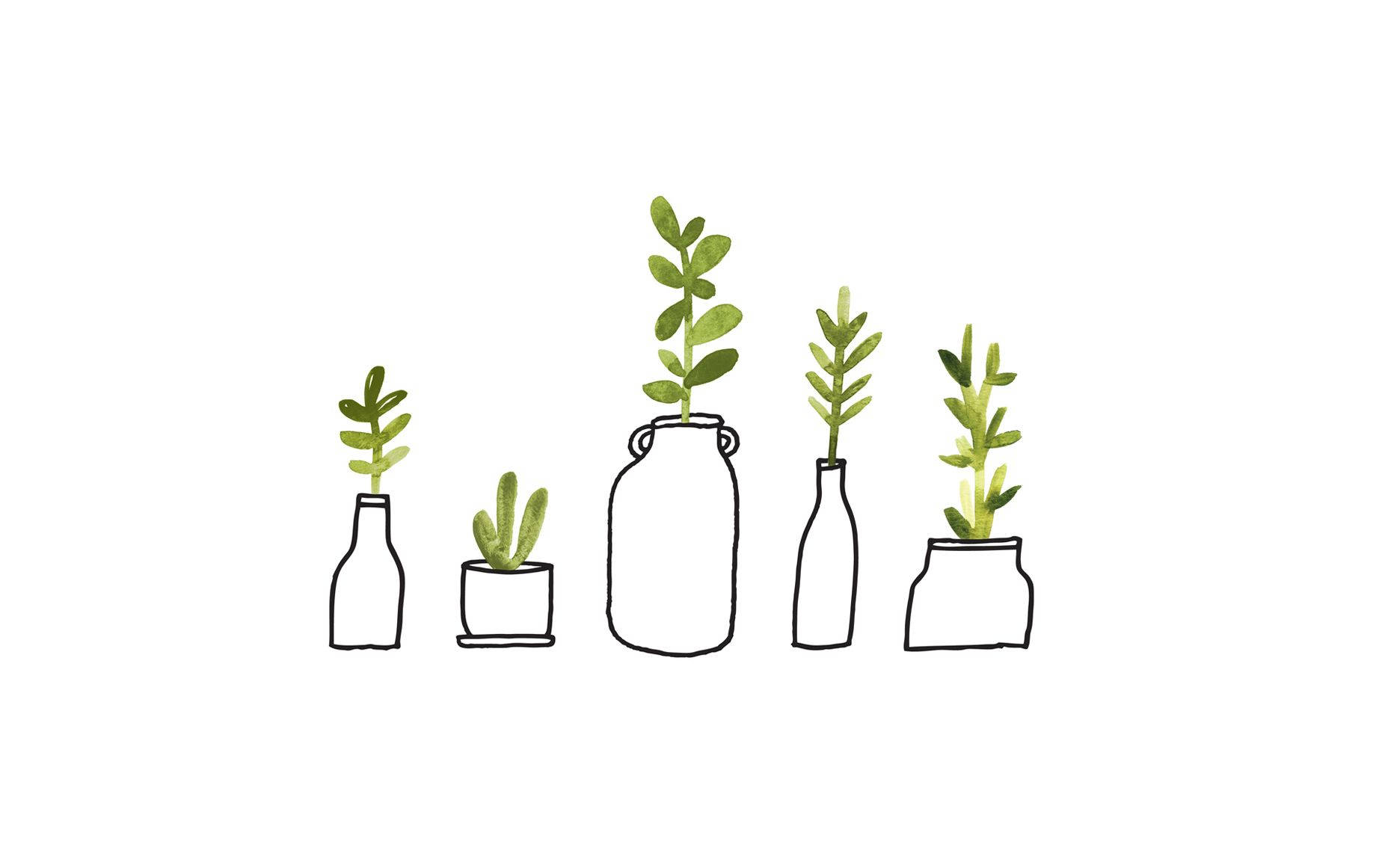 桌布 壁紙 — 五個極簡線條繪製的植物，放在各式罐子和瓶子中，搭配水彩綠色葉子，白色背景。