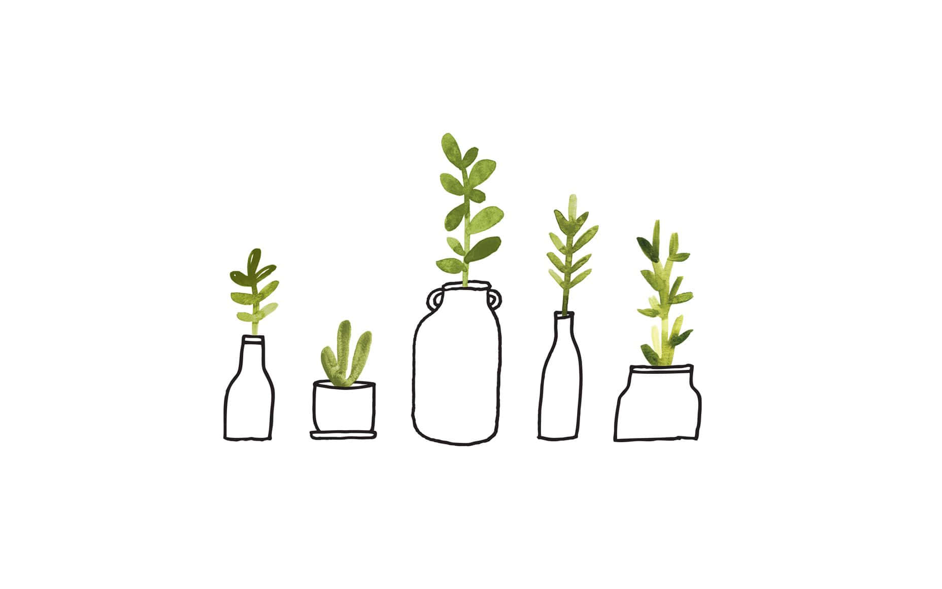 Cute Mac 桌布 壁紙 — 五個極簡線條繪製的植物，放在各種罐子和瓶子中，帶有水彩綠色葉子，背景為白色。