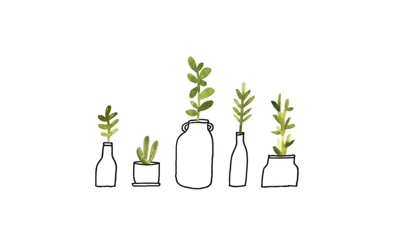 Plant 桌布 壁紙 — 五個極簡線條繪製的植物，放在各種罐子和瓶子中，帶有綠色葉子，背景為純白色。