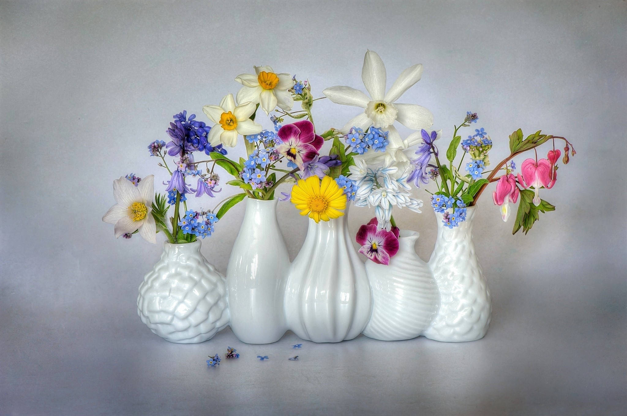 Flowers 桌布 壁紙 — 五個白色紋理花瓶盛放著充滿活力的春季花卉，包括水仙花、三色堇和勿忘我，背景為柔和的灰色。