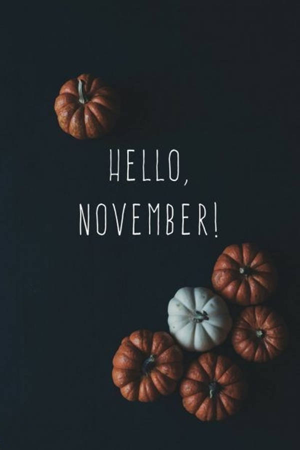 Pumpkin 桌布 壁紙 — 五個秋季色調的南瓜圍繞著深色背景上粗體白色文字 hello november 排列。