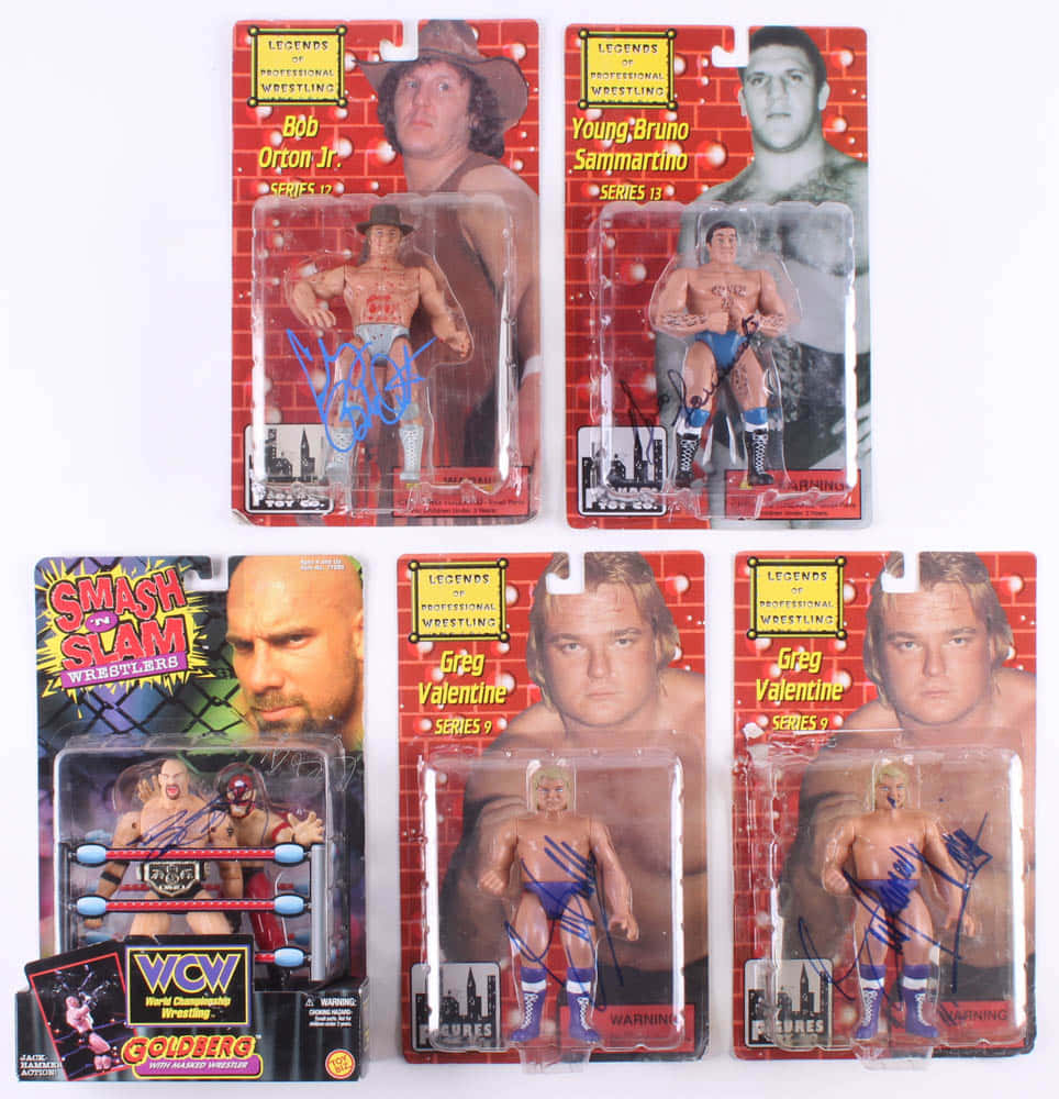 toys 桌布 壁紙 — 五個簽名WWE動作人偶，原裝包裝，展示在白色背景上。