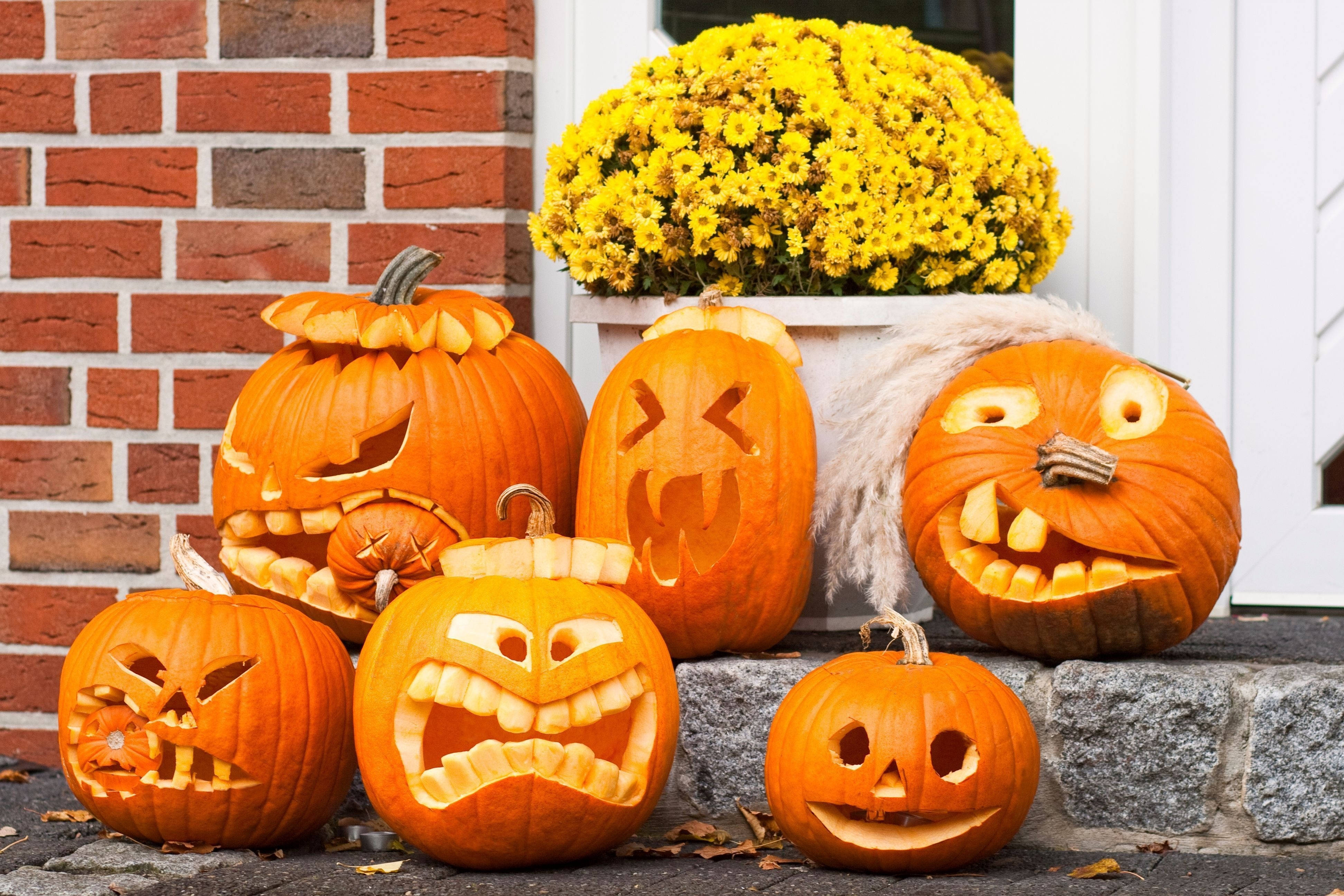 Halloween Aesthetic 桌布 壁紙 — 五個雕刻精緻、帶有恐怖面孔的萬聖節南瓜，放在石階上，旁邊是磚牆和一盆鮮黃色的菊花。
