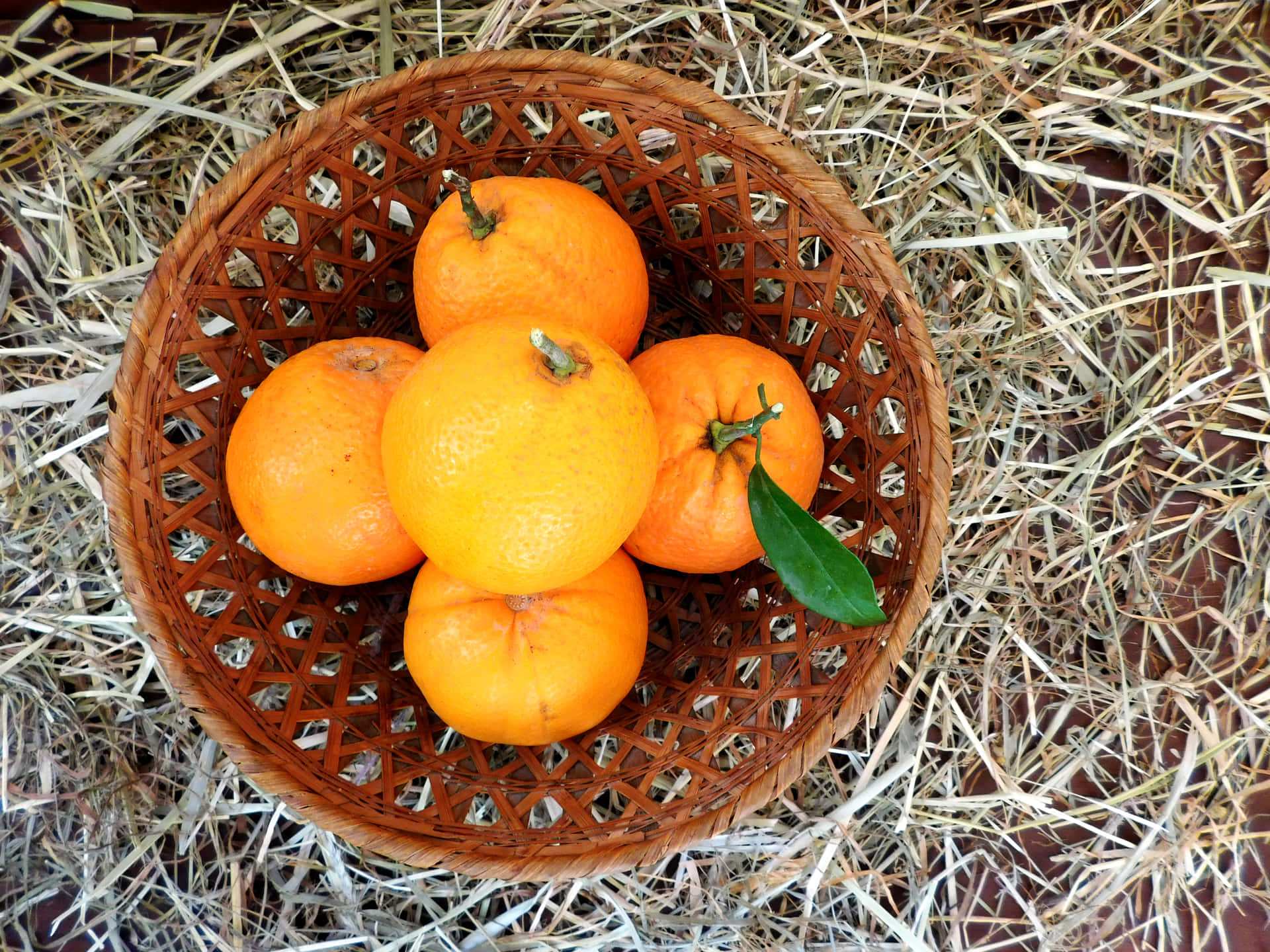 Oranges 壁紙 — 五個鮮豔的柳橙配上一片綠葉，放在乾稻草上的編織竹籃中。