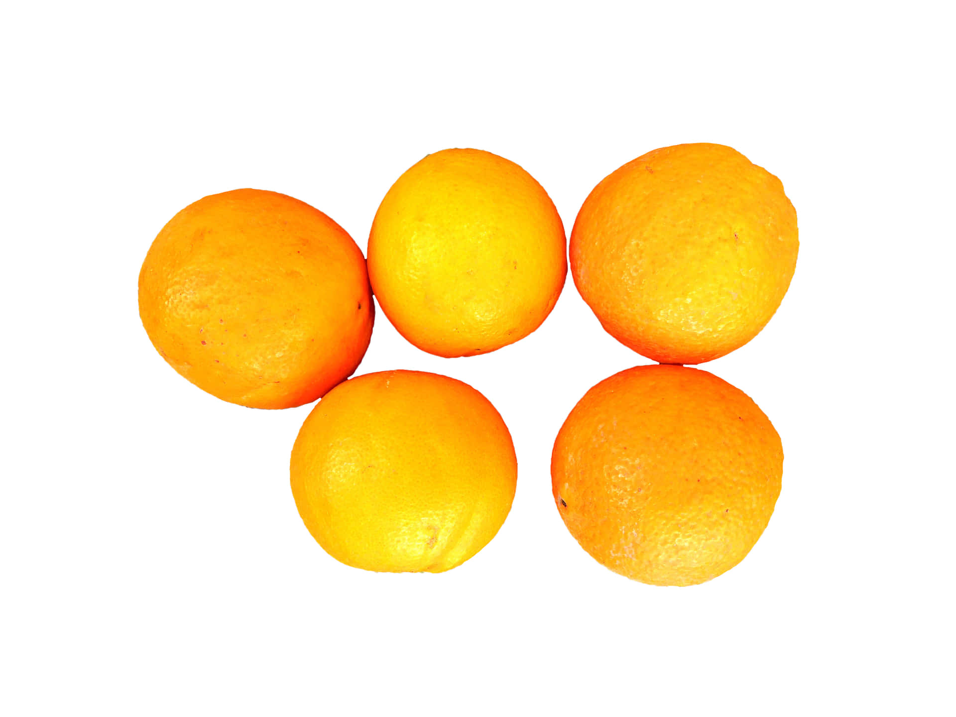 Oranges 壁紙 — 五個鮮豔的柳橙鬆散地聚集在純白色背景上。