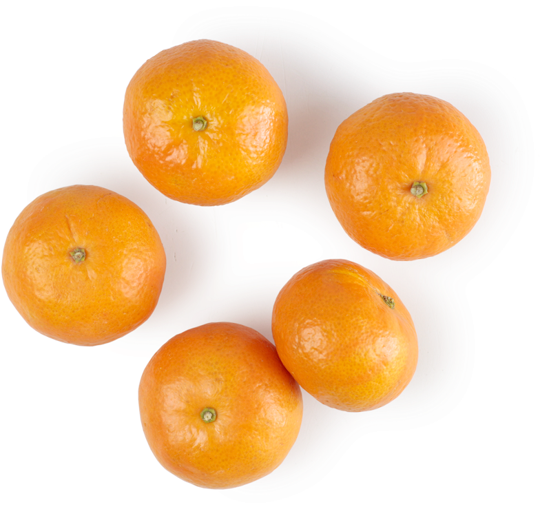 mandarin 桌布 壁紙 — 五個鮮豔的橙色柑橘放在一個白色雲形盤子上，背景為純黑色。