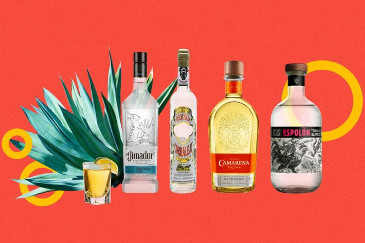 Tequila 桌布 壁紙 — 五個龍舌蘭酒瓶和一株龍舌蘭植物排列在帶有黃色圓形裝飾的醒目紅色背景上。