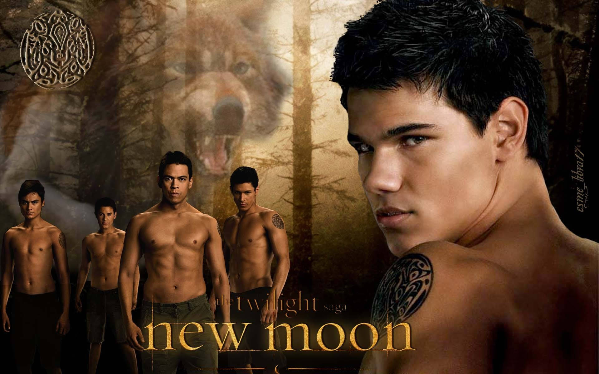 The Twilight Saga 桌布 壁紙 — 五名赤膊男子站在迷霧森林中，身後有一隻咆哮的狼在金色暮光下隱現。