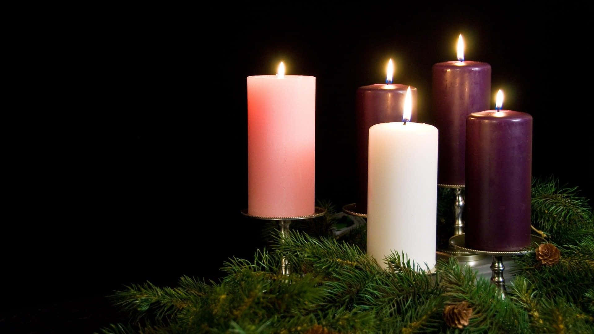 Advent 桌布 壁紙 — 五支點燃的蠟燭，粉紅色、白色和紫色，在黑色背景下溫暖地發光，依偎在綠色松枝中。