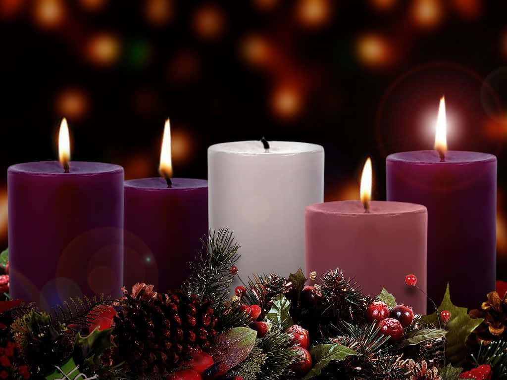 Advent 桌布 壁紙 — 五支點燃的蠟燭，紫色、粉紅色和白色，在節日松果、冬青和漿果之間溫暖地發光，背景為散景效果。