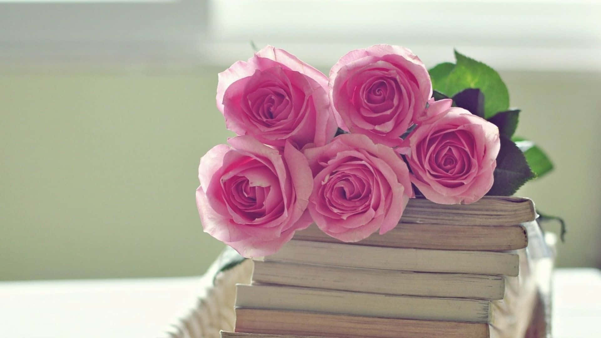Pink Roses 桌布 壁紙 — 五朵柔軟的粉紅玫瑰盛開在一堆復古書籍之上，位於陽光普照的舒適閱讀角落。