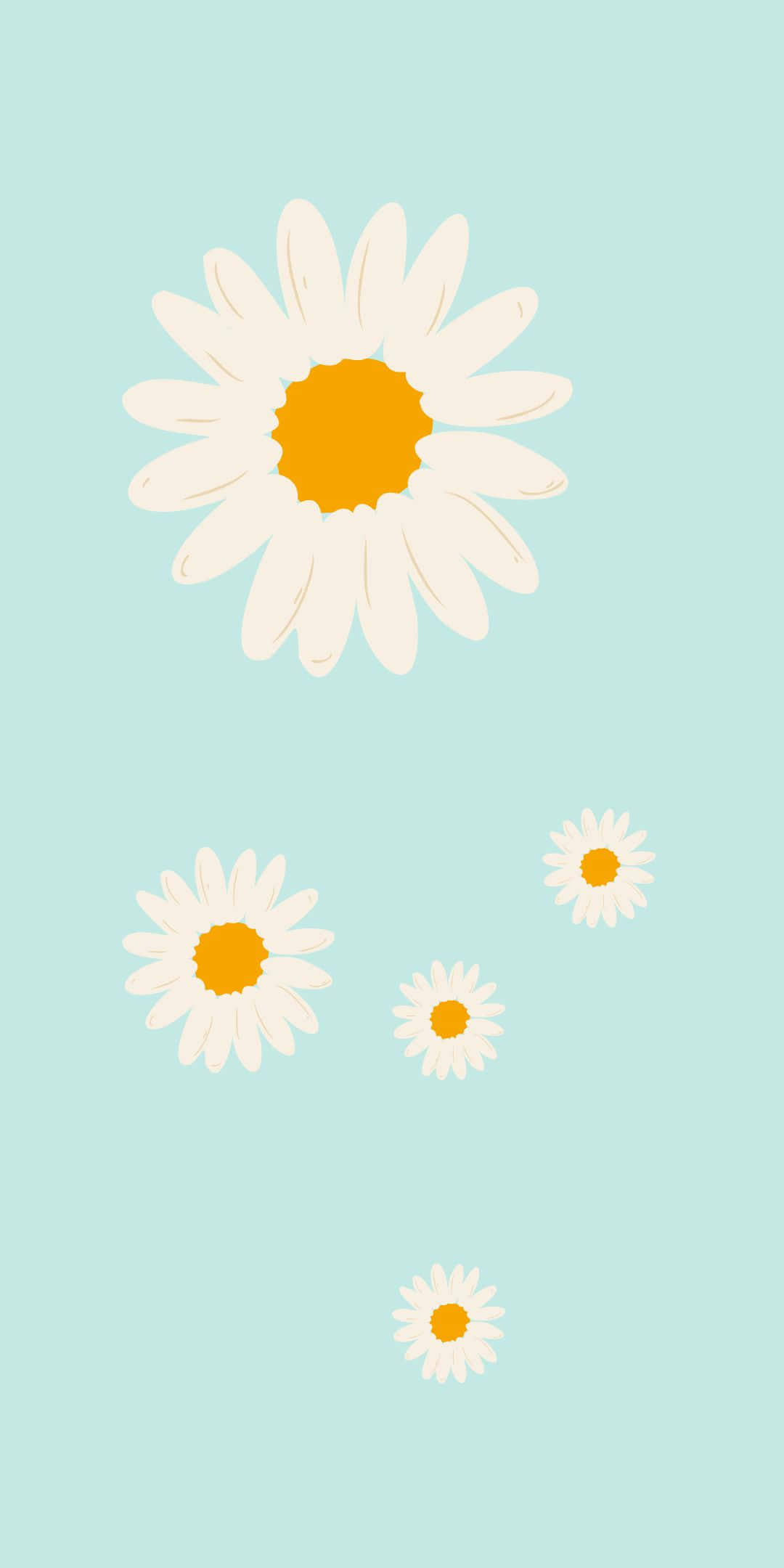 Daisy 桌布 壁紙 — 五朵白色花瓣黃色花心的雛菊，在柔和的薄荷綠背景上輕輕漂浮。
