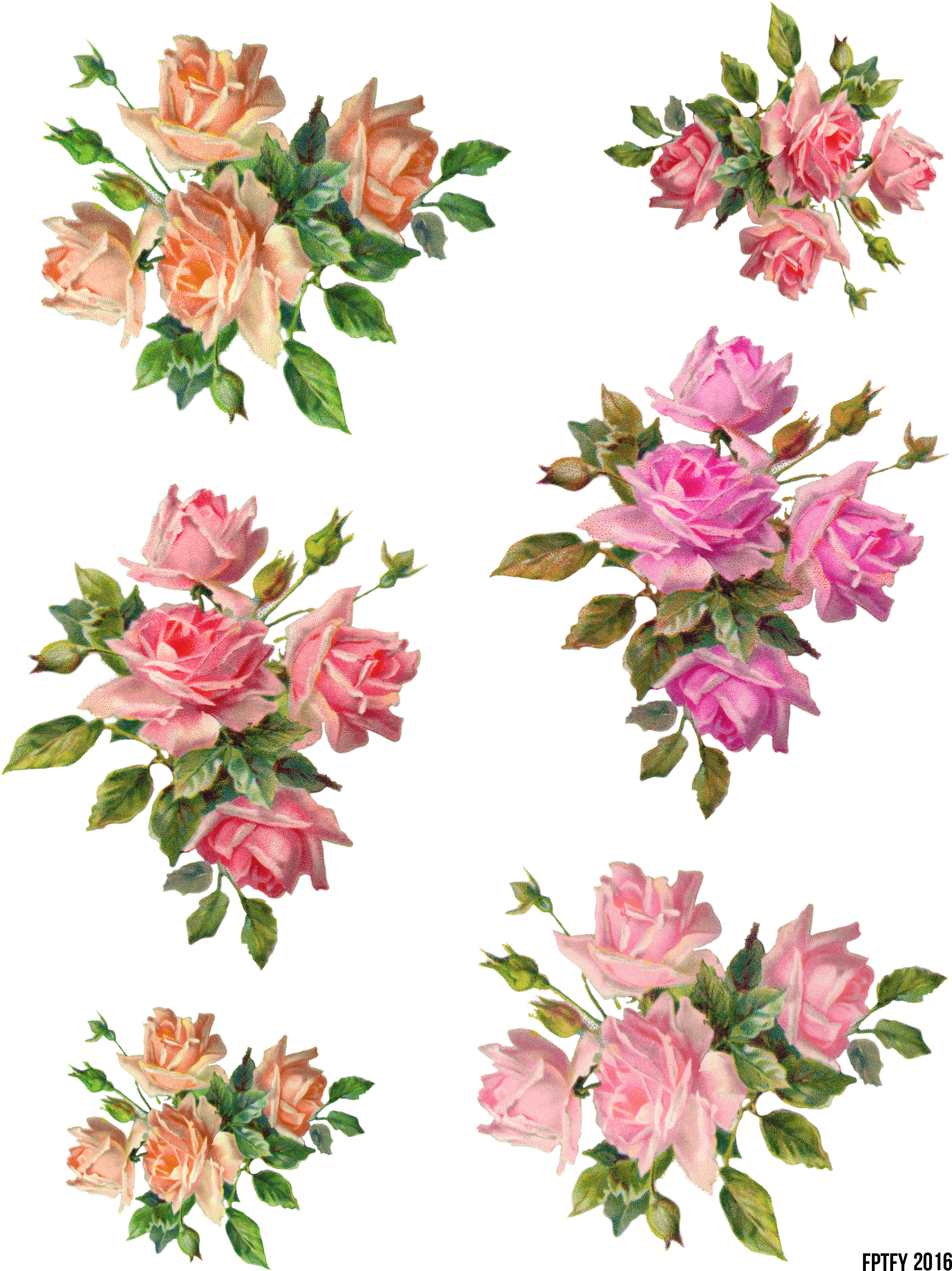 Pink Rose 桌布 壁紙 — 五束精緻的花簇，包含蜜桃色和粉紅色的玫瑰，配以綠葉，襯托在純黑背景上。