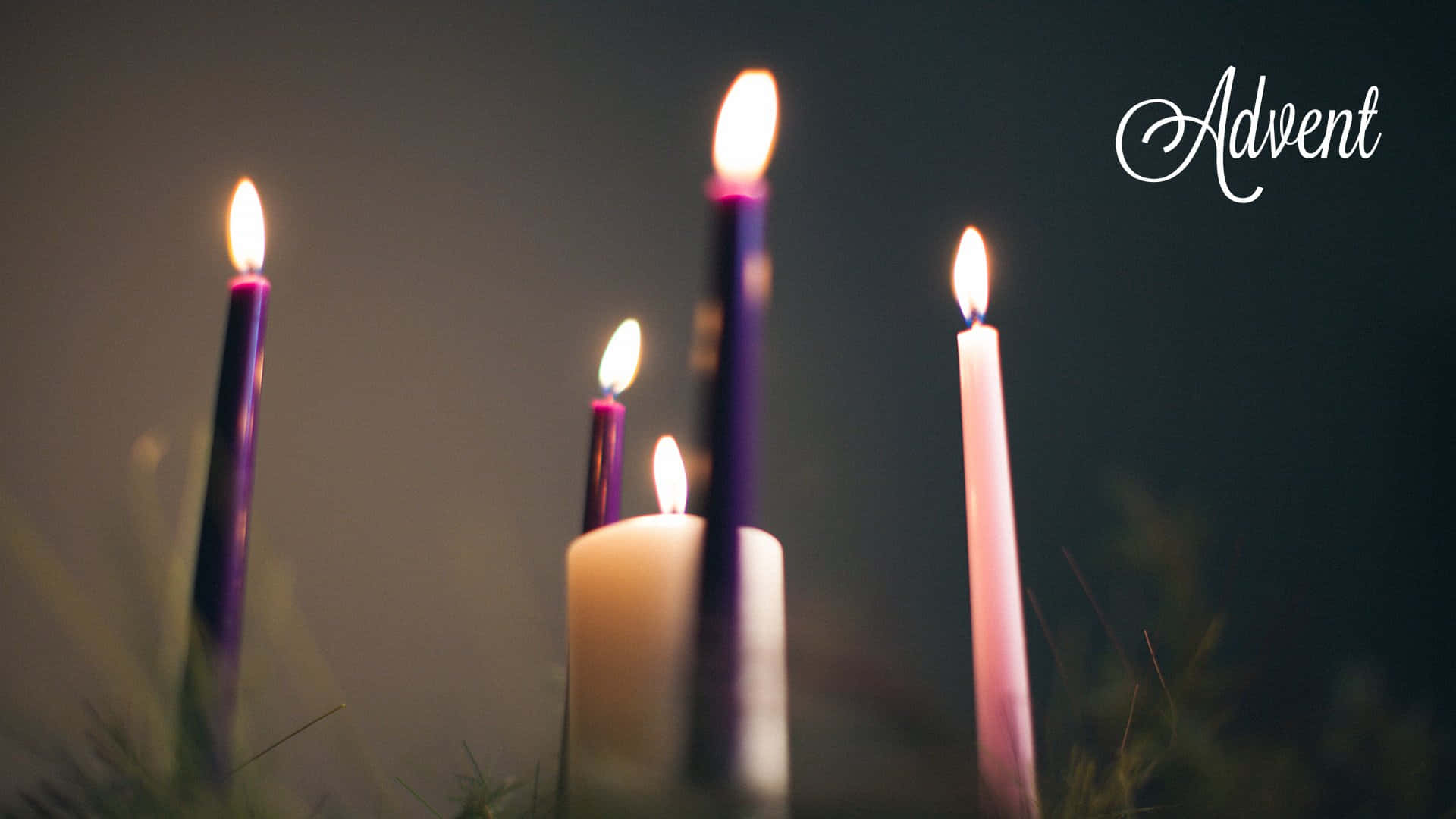 Advent 桌布 壁紙 — 五根點燃的紫色和白色蠟燭在黑暗背景中柔和發光，並帶有白色書寫的「Advent」字樣。