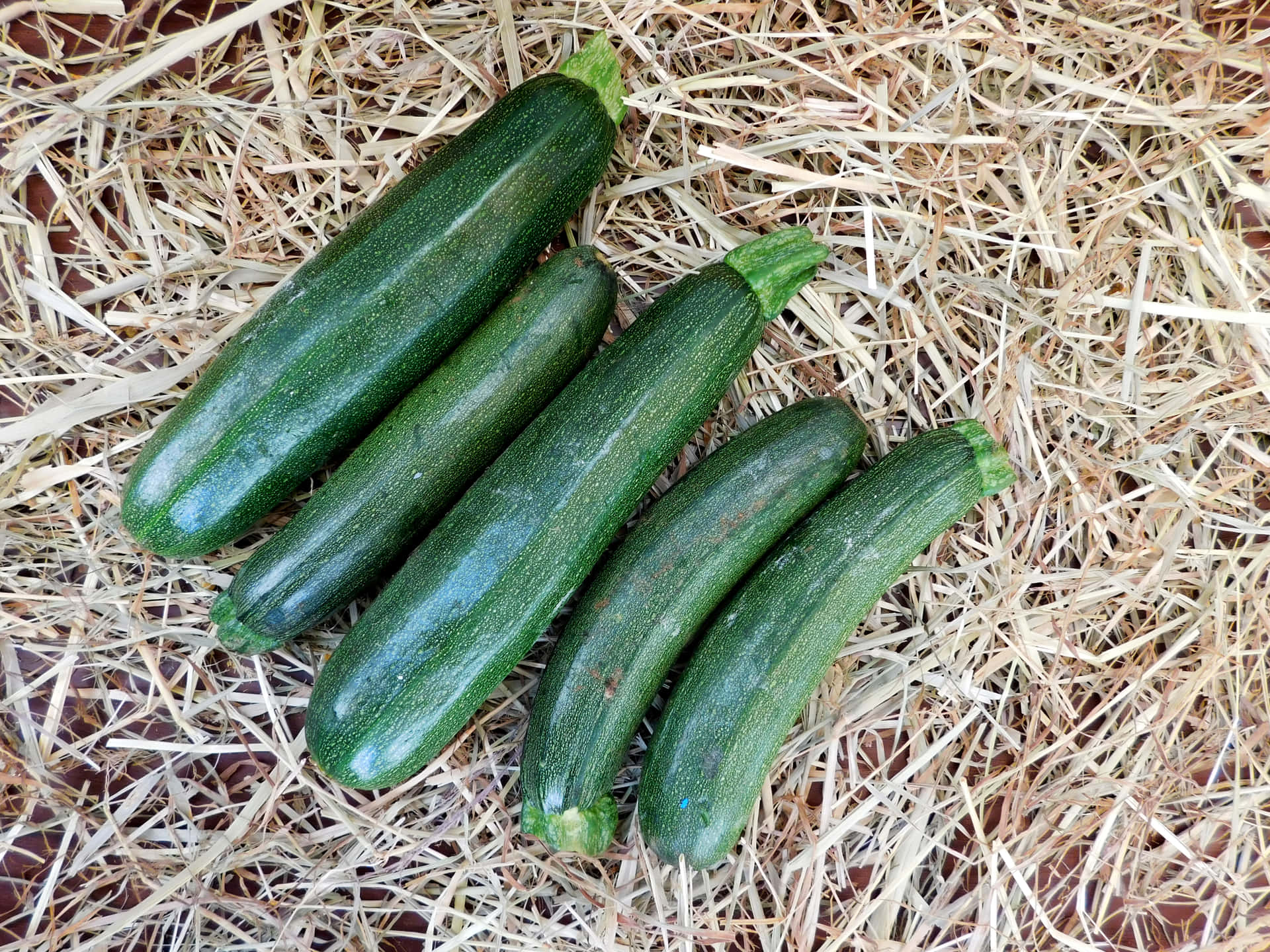 Zuchinis 壁紙 — 五條新鮮青翠的櫛瓜對角線地放在乾草床上，採用自然光線。