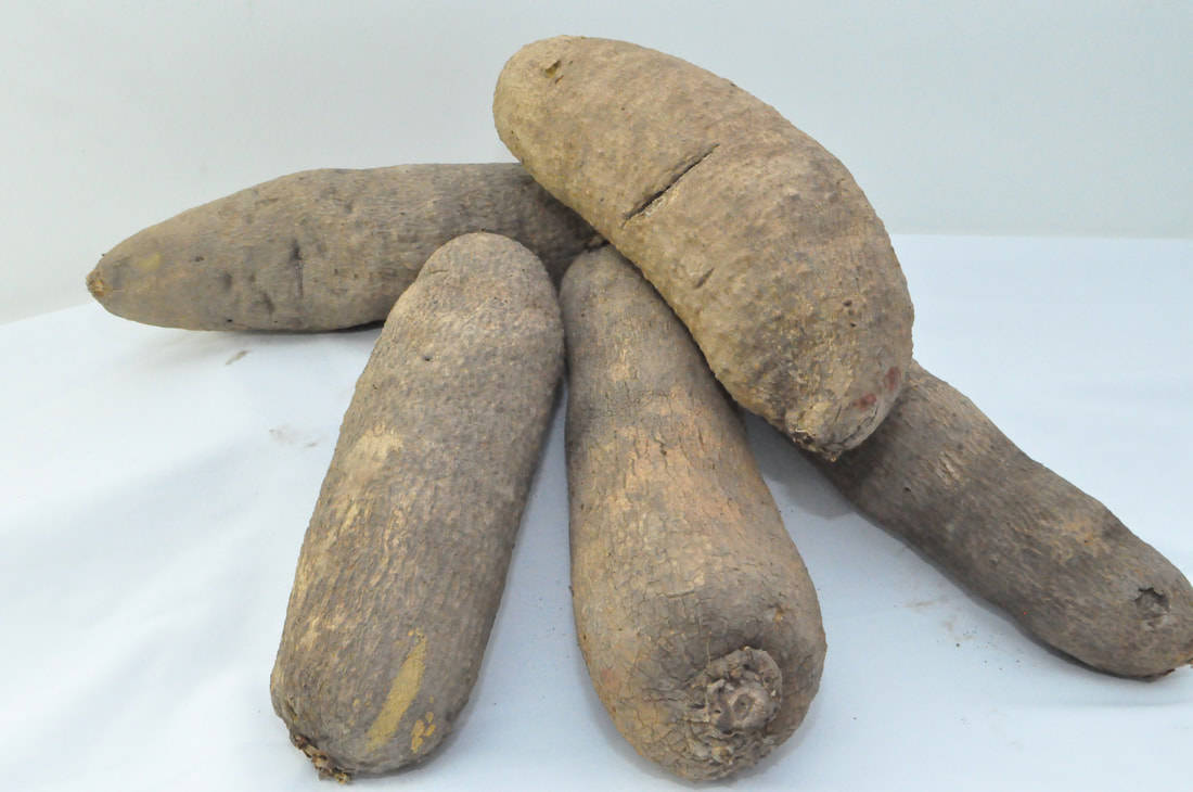 Healthy Food 桌布 壁紙 — 五條粗糙外皮的棕色木薯根堆放在潔白表面上，在明亮的攝影棚燈光下。