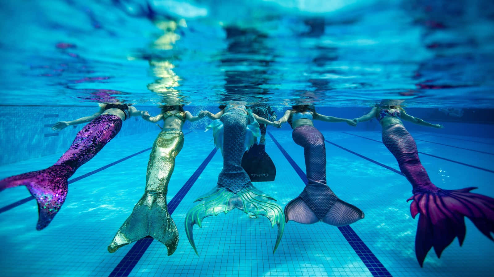 Real Life Mermaid 桌布 壁紙 — 五條美人魚閃爍著尾巴，在瓷磚泳池中優雅地游動，手牽著手。