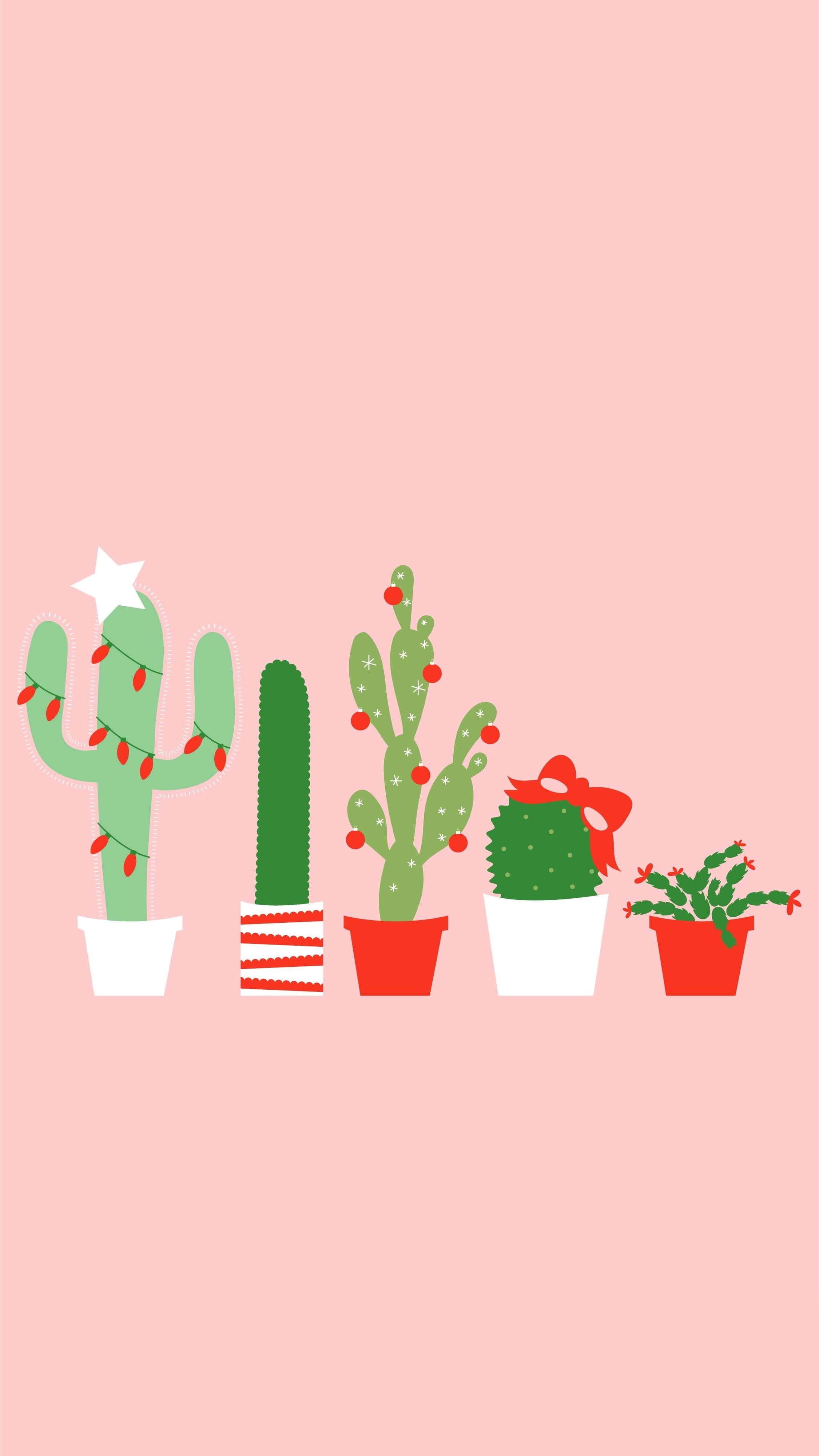 Cactus iPhone 桌布 壁紙 — 五棵節日卡通仙人掌種在花盆裡，裝飾著燈飾、蝴蝶結和星星，背景是柔和的粉紅色。