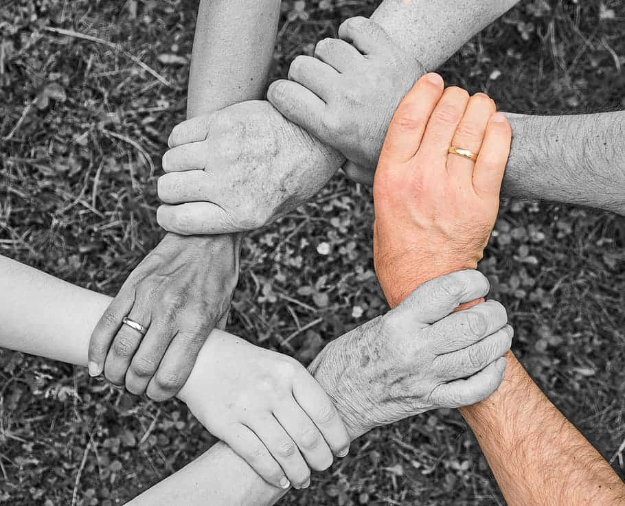 Teamwork 桌布 壁紙 — 五隻不同年齡的手在草地上交錯成一個圓圈，其中一隻手和結婚戒指有選擇性色彩突出。