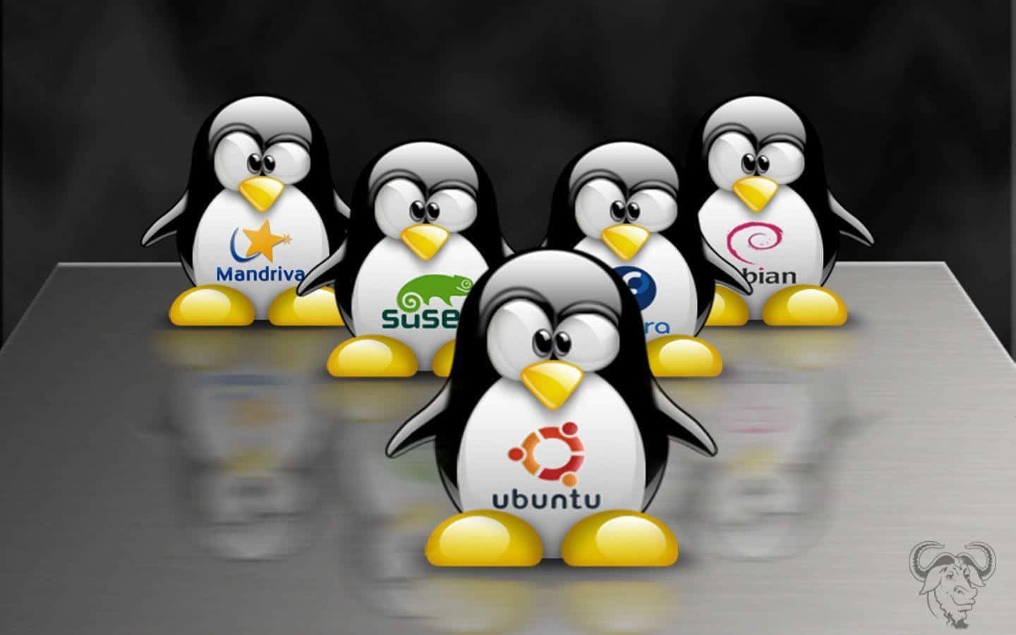 Penguin Tux 桌布 壁紙 — 五隻帶有Linux標誌的卡通企鵝站在深色背景前的反光金屬表面上。