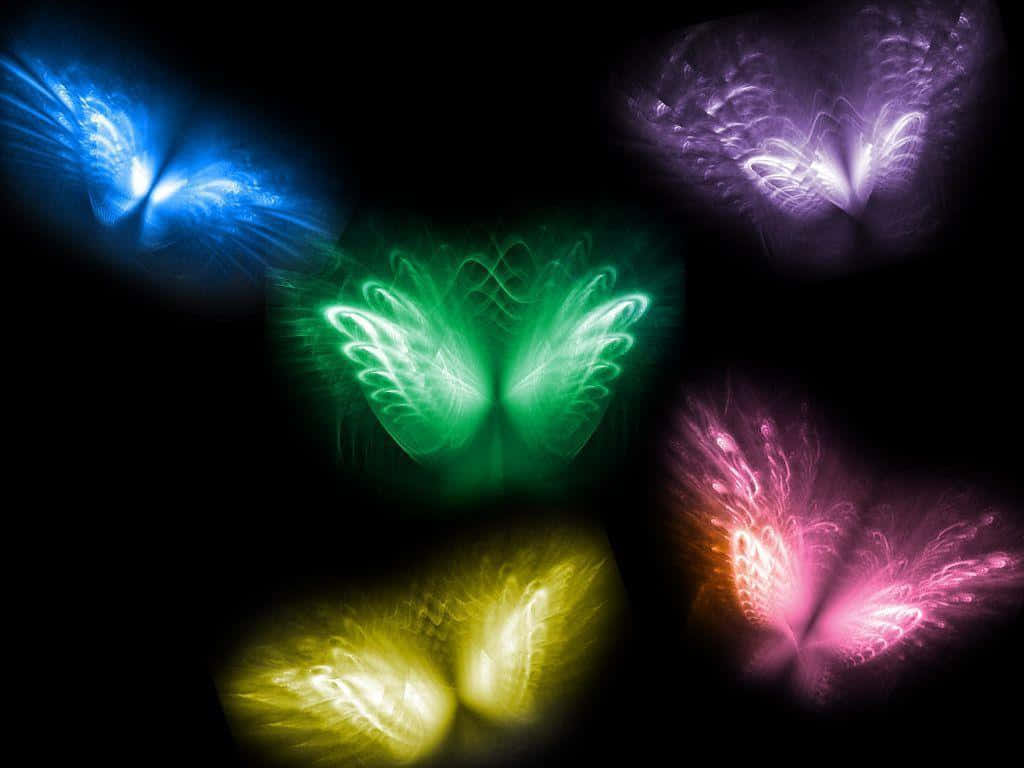 Cool Butterfly 桌布 壁紙 — 五隻發光的蝴蝶翅膀，分別為藍色、綠色、紫色、黃色和粉紅色，在黑色背景上散發光芒。