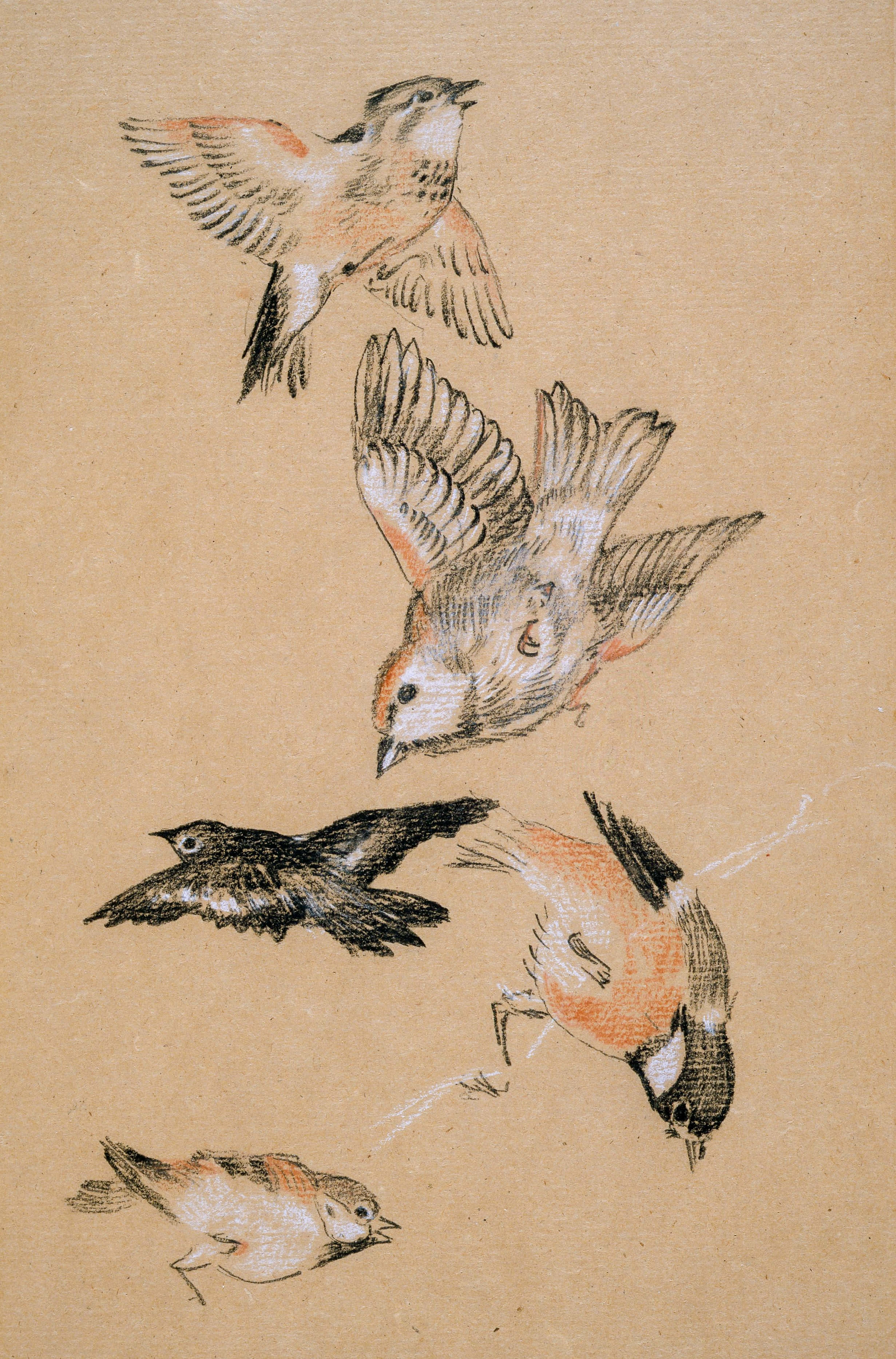 Drawing 桌布 壁紙 — 五隻精緻的鳥兒在飛行中，以柔和的土色調勾勒在帶有紋理的米色背景上。