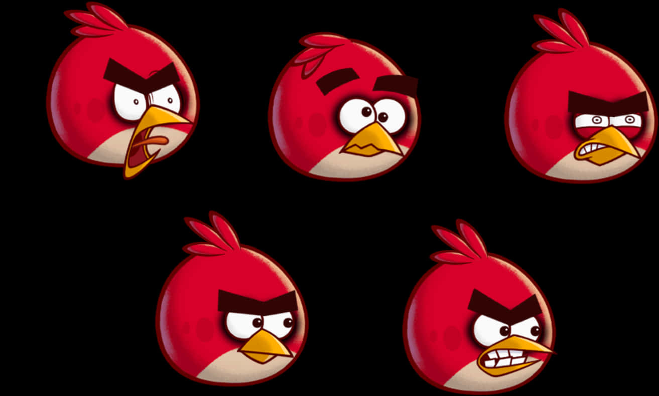Angry Bird 桌布 壁紙 — 五隻紅色憤怒鳥，表情各異，背景為黑色。