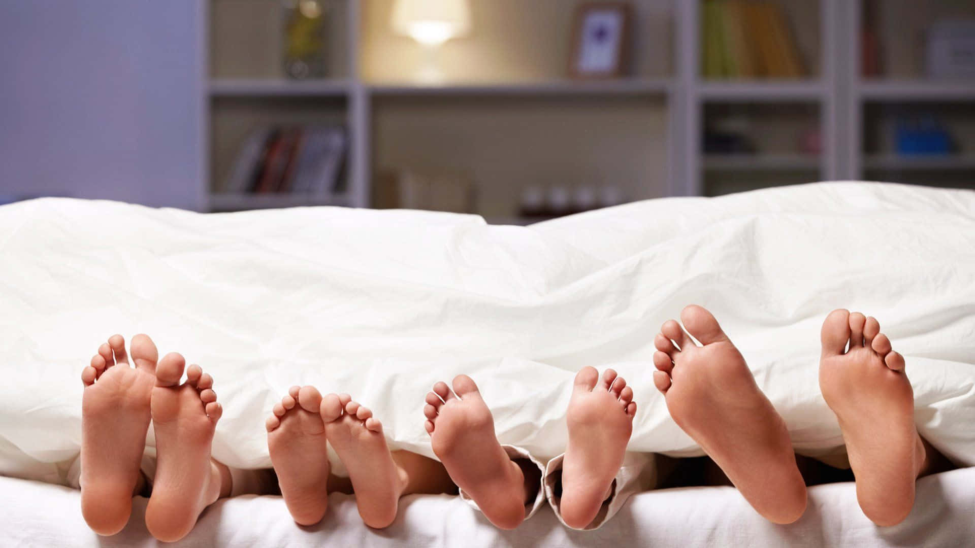 feet 桌布 壁紙 — 五隻赤腳從床上白色羽絨被下露出，房間燈光柔和。