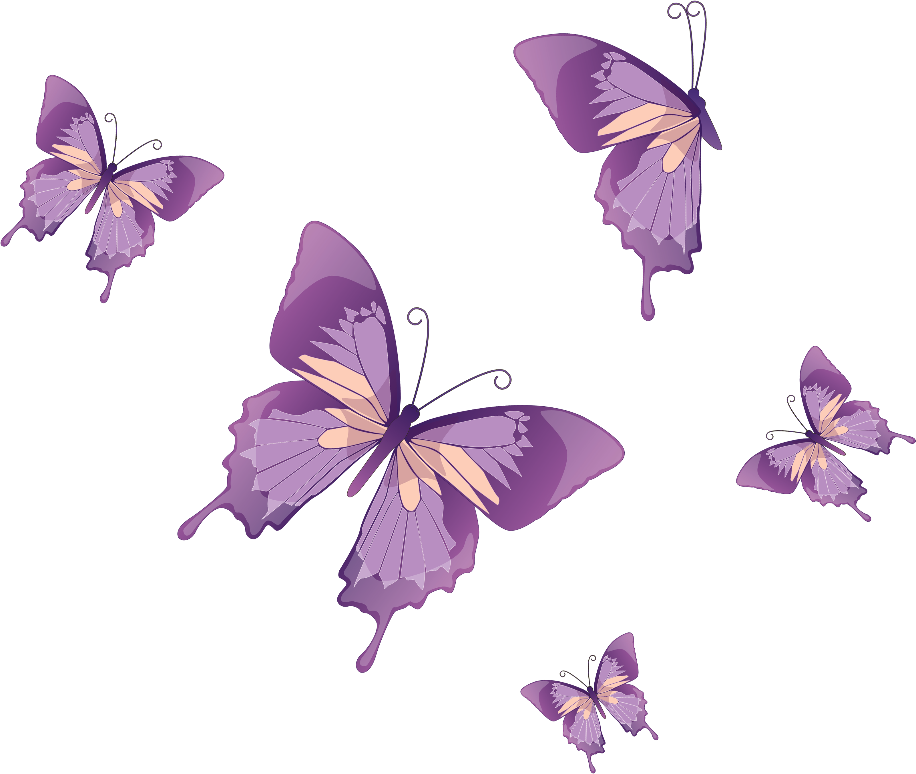 Butterfly Wings 桌布 壁紙 — 五隻風格化的紫色蝴蝶帶有奶油色點綴，在純黑色背景上優雅地飛舞。