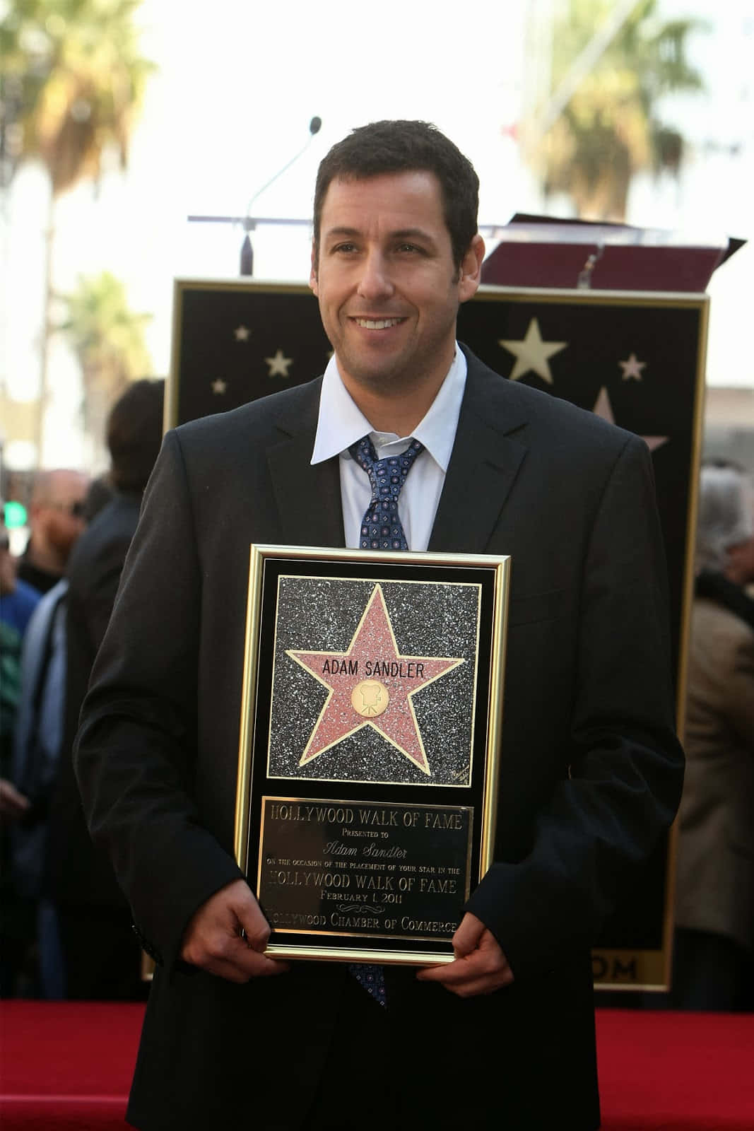 Adam Sandler 桌布 壁紙 — 亞當·山德勒自豪地微笑，手持好萊塢星光大道的星星牌匾，背景有棕櫚樹的紅地毯上。