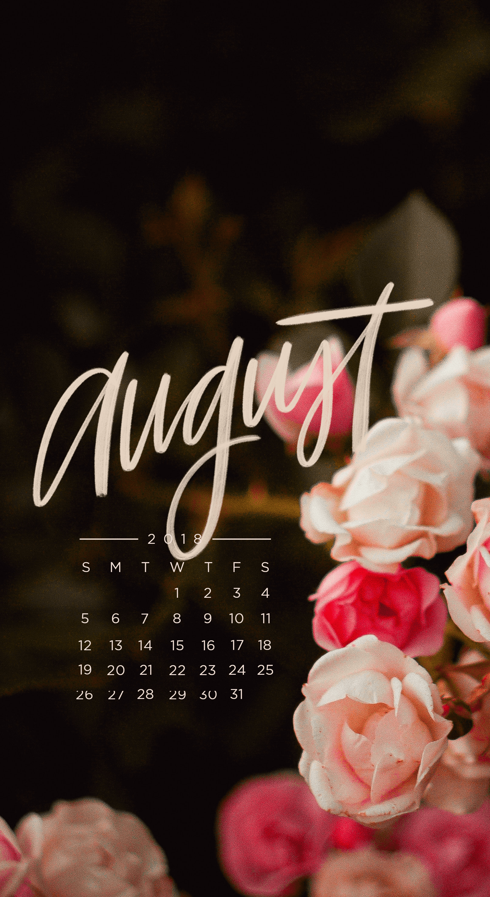 享受八月溫暖的夏日 壁紙