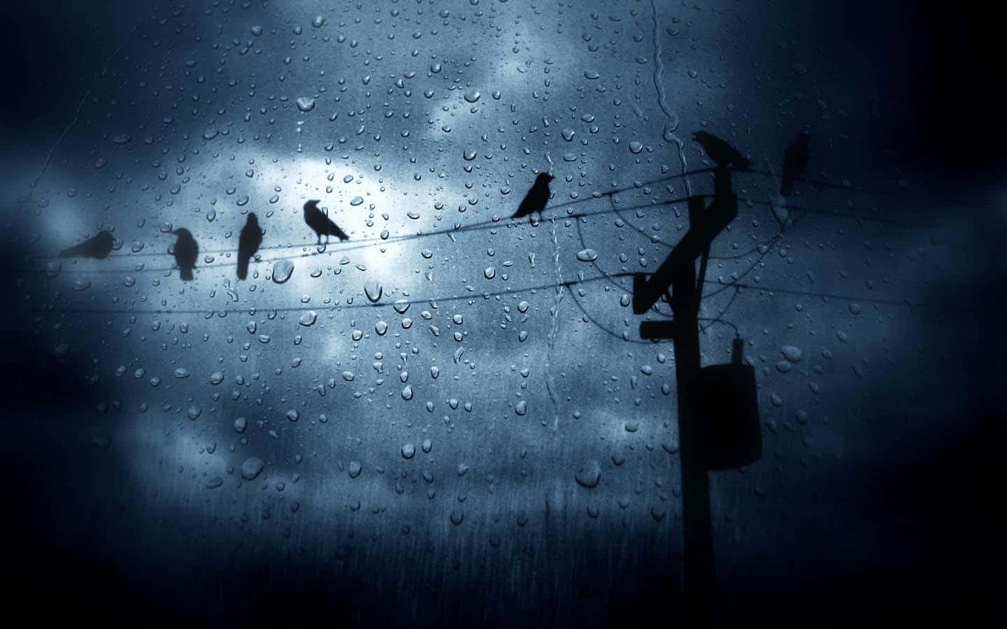 享受夏日微雨的寧靜之美 壁紙