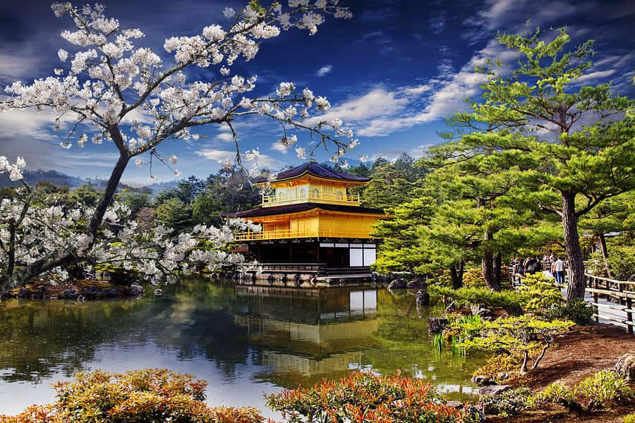 京都金閣寺的壯麗景色 — 京都 壁紙
