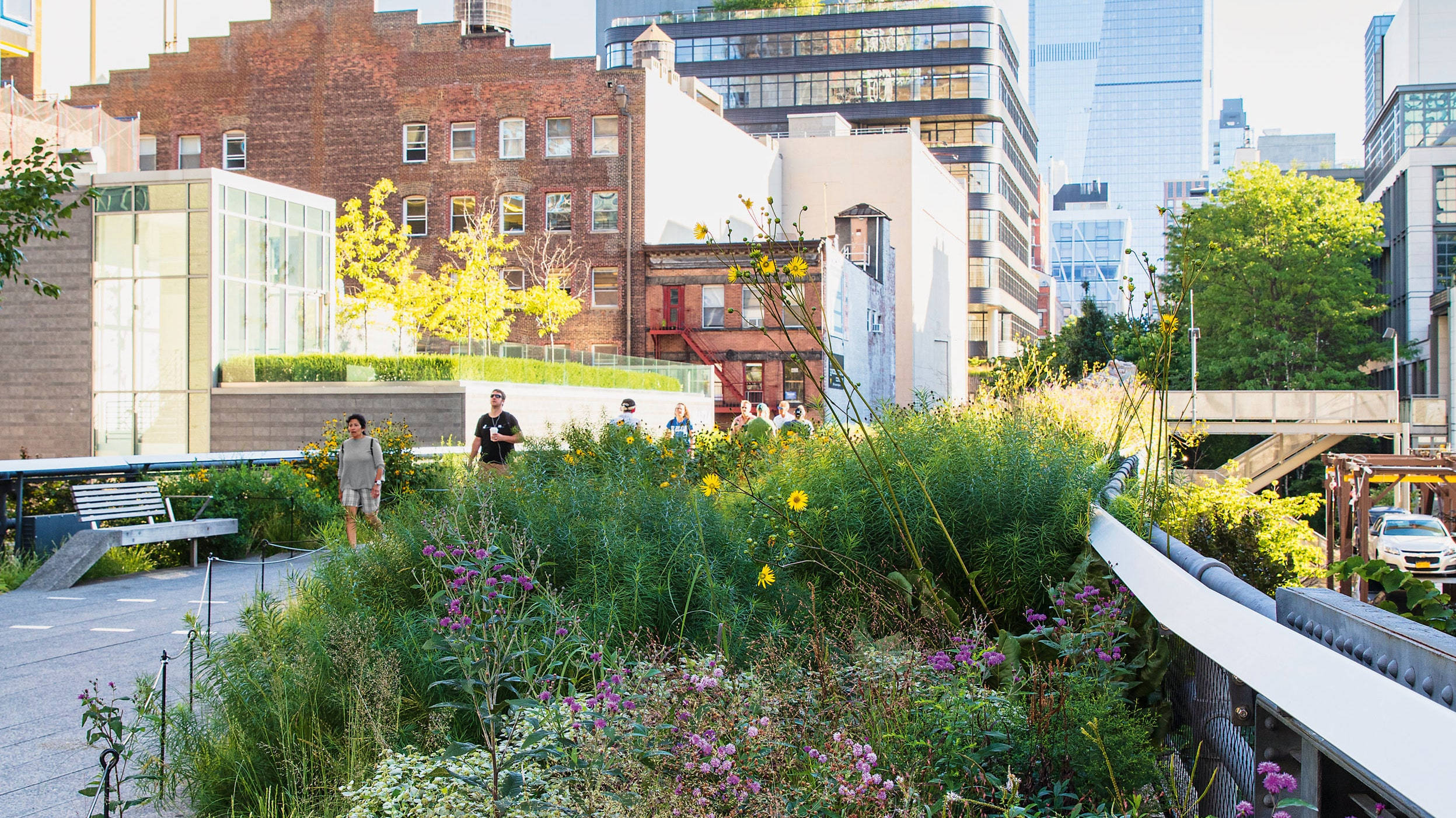 New York 桌布 壁紙 — 人們在充滿活力的屋頂花園中漫步，花園裡有野花和高草，周圍是高聳的城市建築，沐浴在明亮的陽光下。