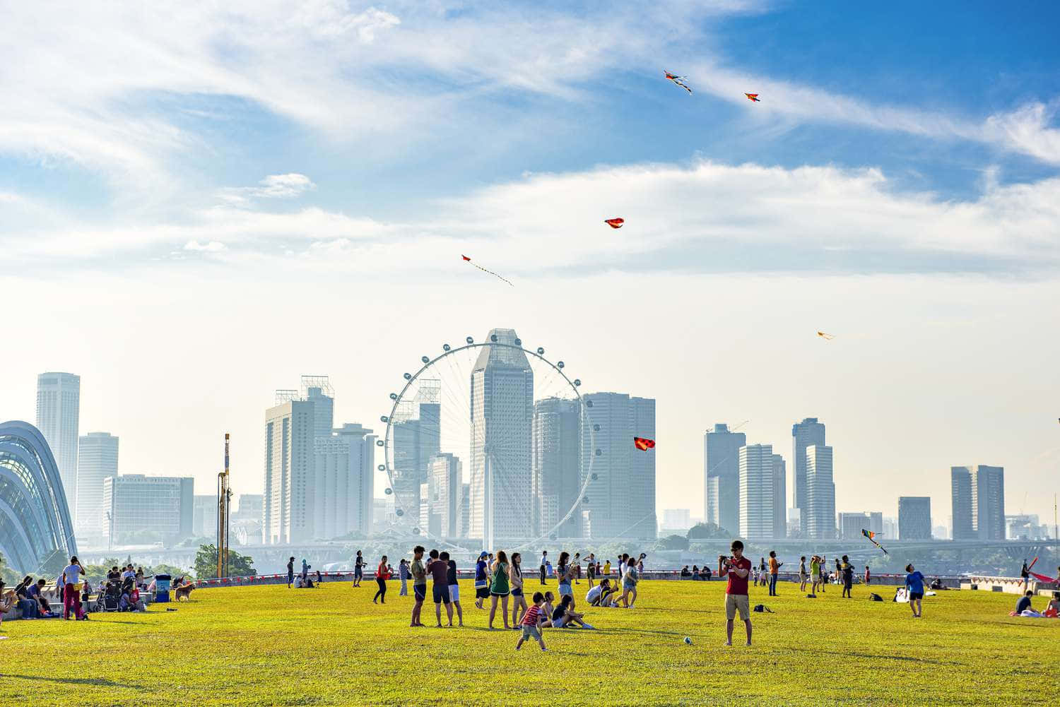 Singapore 桌布 壁紙 — 人們在充滿活力的綠色田野上放風箏，背景是現代城市天際線和巨大的摩天輪，在明亮的藍天下。