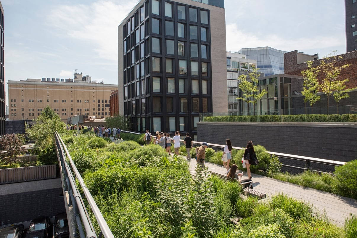 New York 桌布 壁紙 — 人們在明亮的日光下，在現代城市建築之間蜿蜒的茂密綠色高架公園中漫步和放鬆。