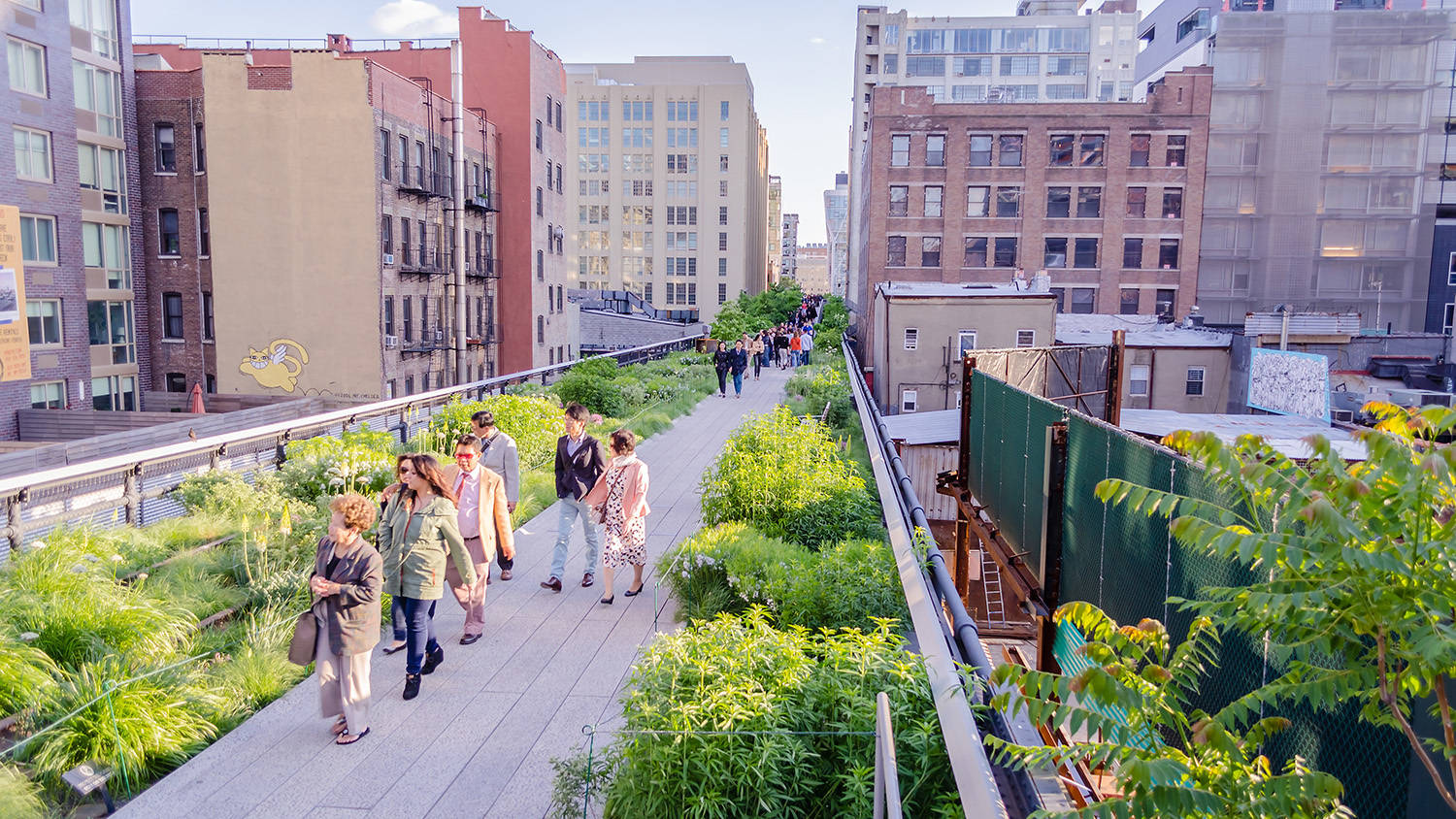 New York 桌布 壁紙 — 人們在明亮的日光下，沿著兩旁是城市建築的充滿活力的綠色高架步道漫步。
