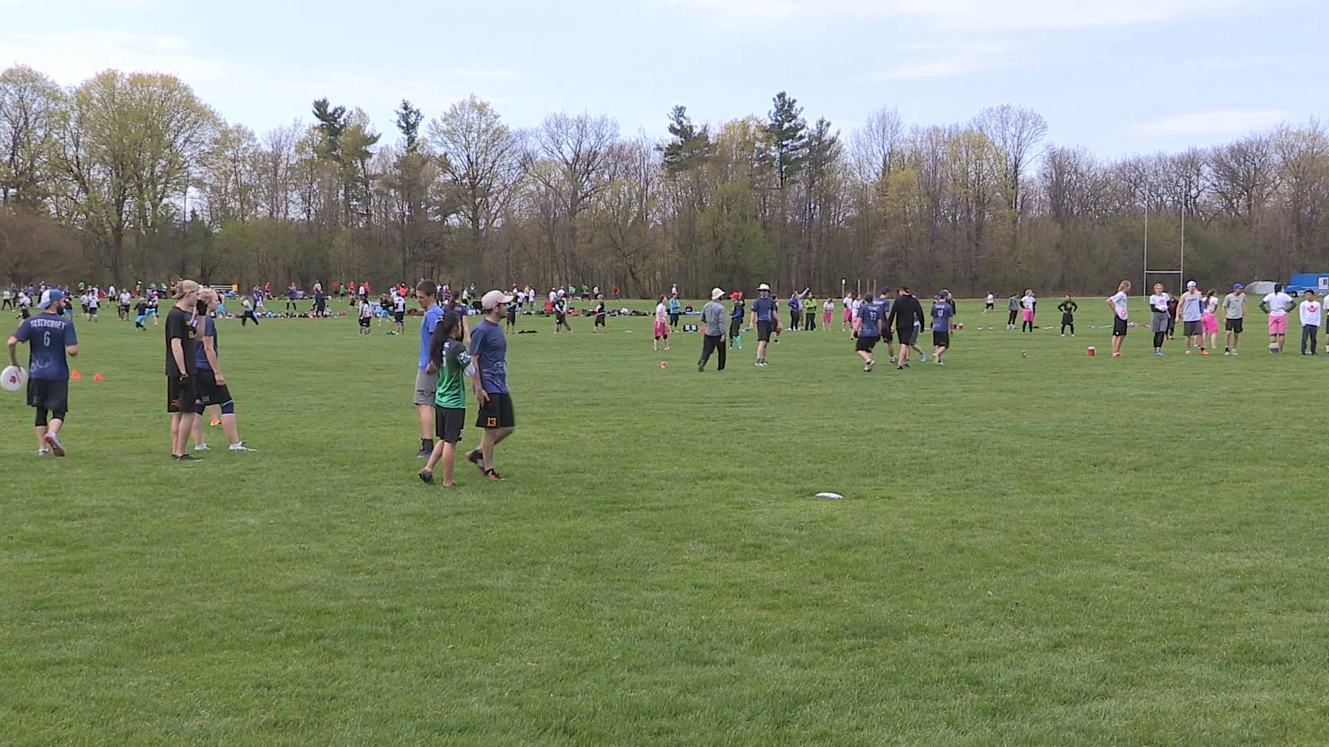 Ultimate Frisbee 桌布 壁紙 — 人們在晴朗天空下，於一片被樹木環繞的廣闊綠色場地上玩極限飛盤。