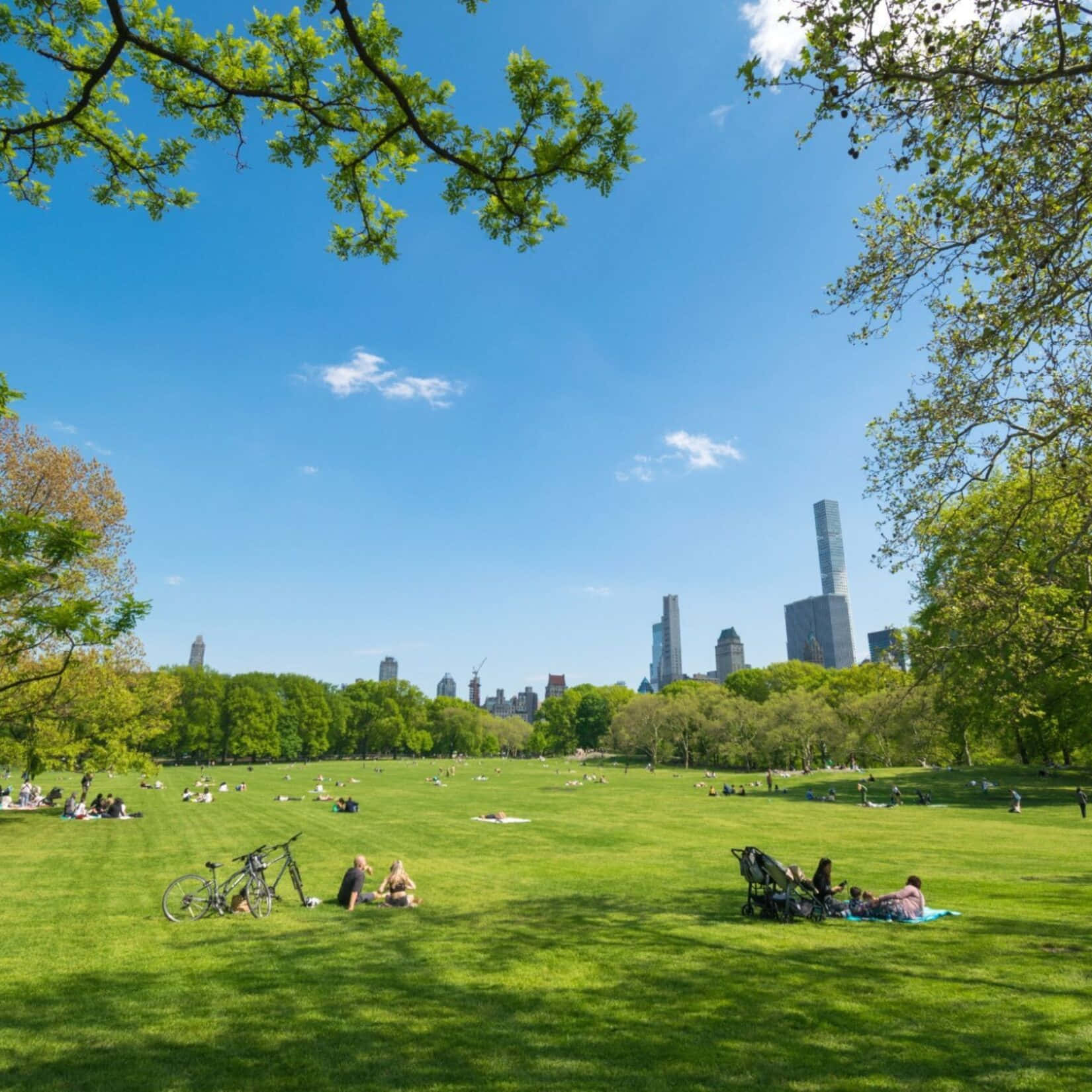 公園 桌布 壁紙 — 人們在晴朗的藍天下，在充滿活力的綠色草坪上放鬆，城市摩天大樓在樹木之外可見。