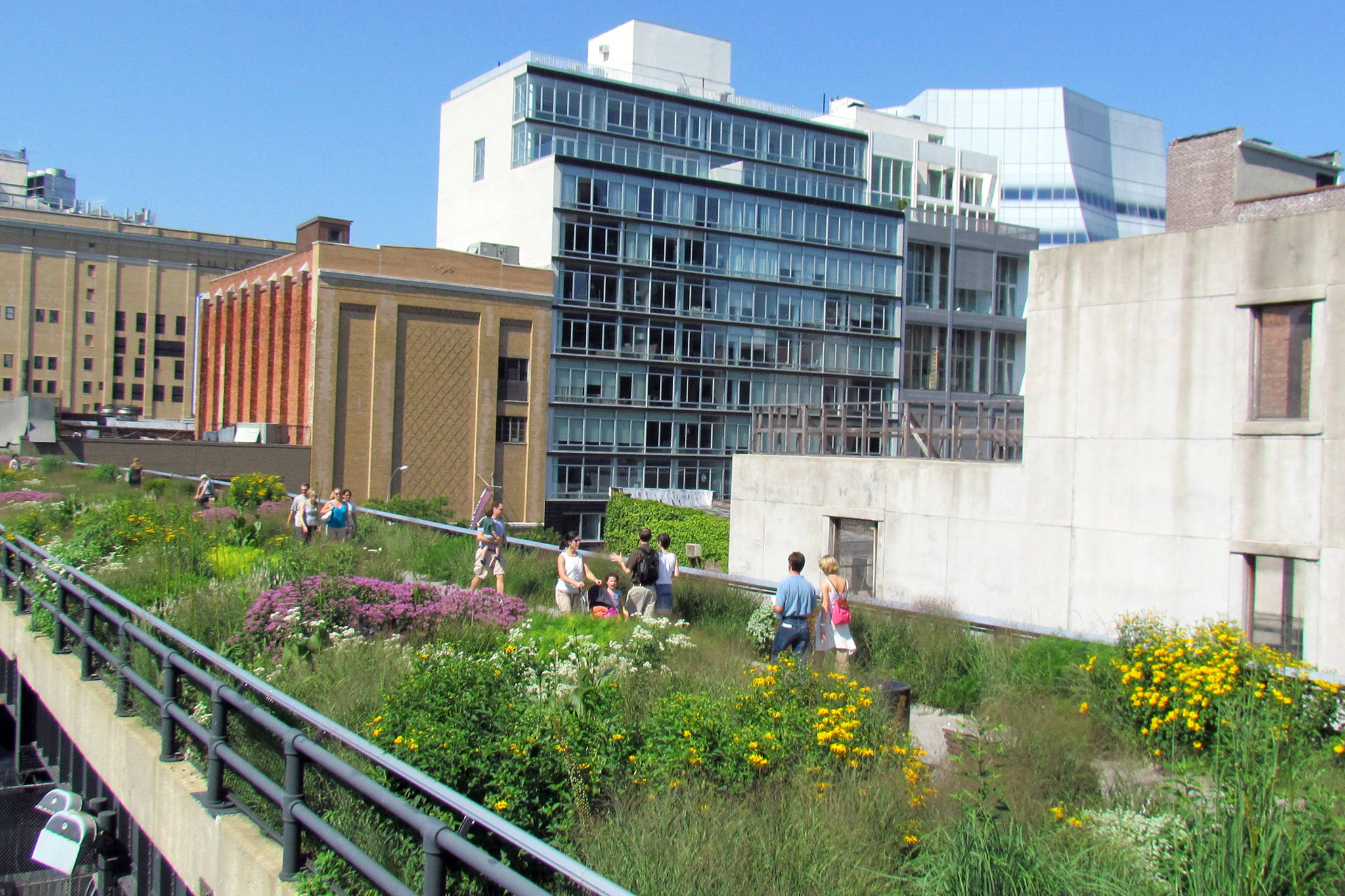 New York 桌布 壁紙 — 人們在現代城市建築環繞的陽光屋頂花園中，在鮮豔的野花和綠植間漫步放鬆。