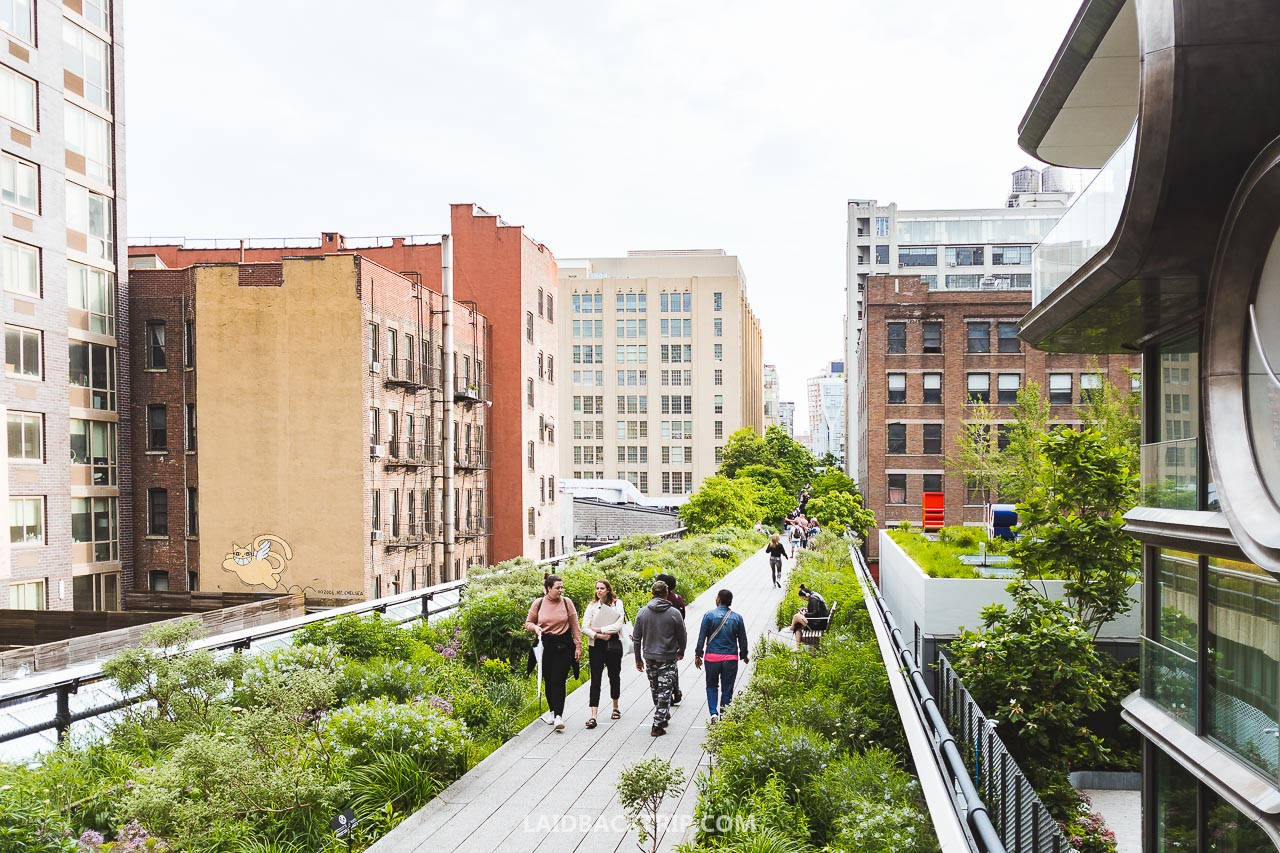 New York 桌布 壁紙 — 人們在陰天之下，沿著一條蜿蜒在高聳城市建築之間的鬱鬱蔥蔥的高架公園漫步。