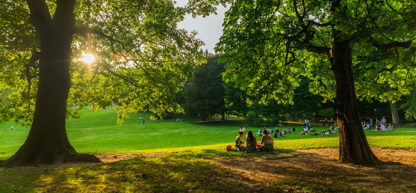 Park 桌布 壁紙 — 人們在陽光明媚的公園裡，在巨大的樹下放鬆，金色的光線透過茂密的綠葉灑落。